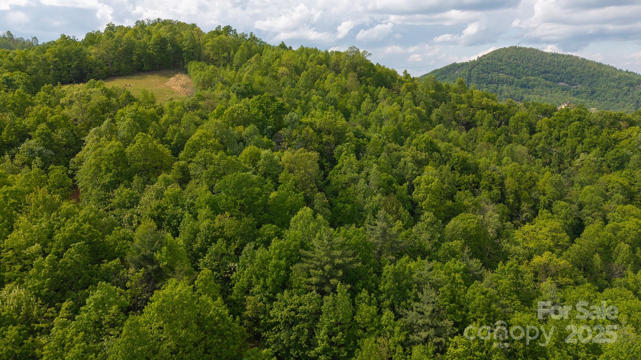 Tbd Treadway Ridge Drive 1 Property Photo 1