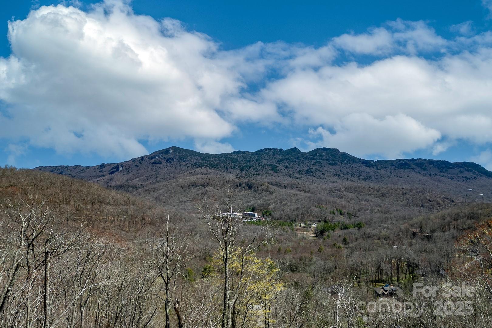 150 Squirrel Corn Lane Property Photo 3