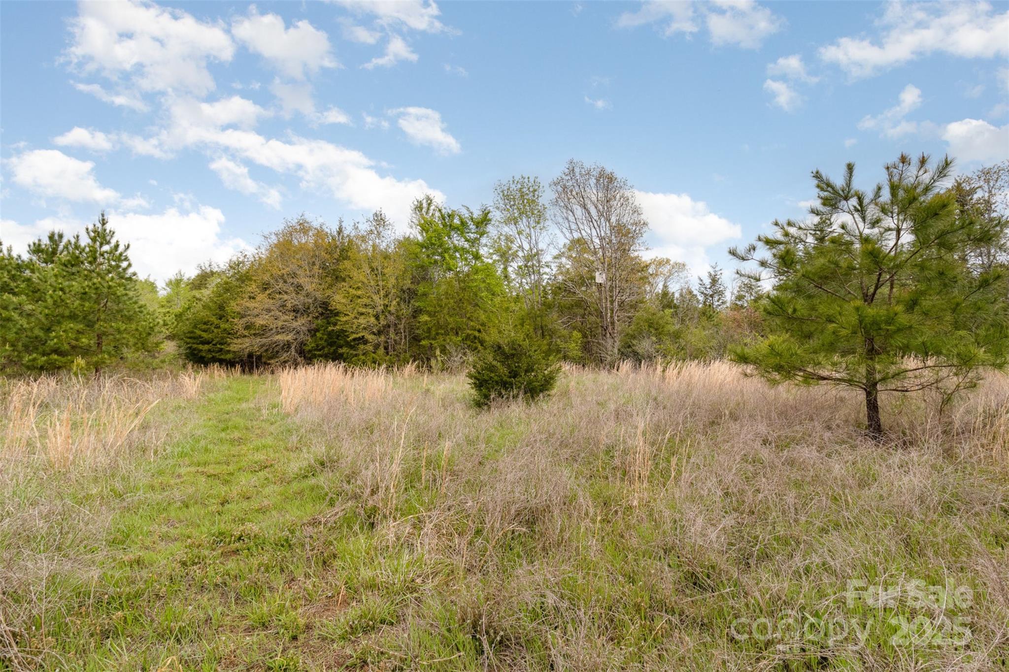 13562 Smith Ford Road Property Photo 1