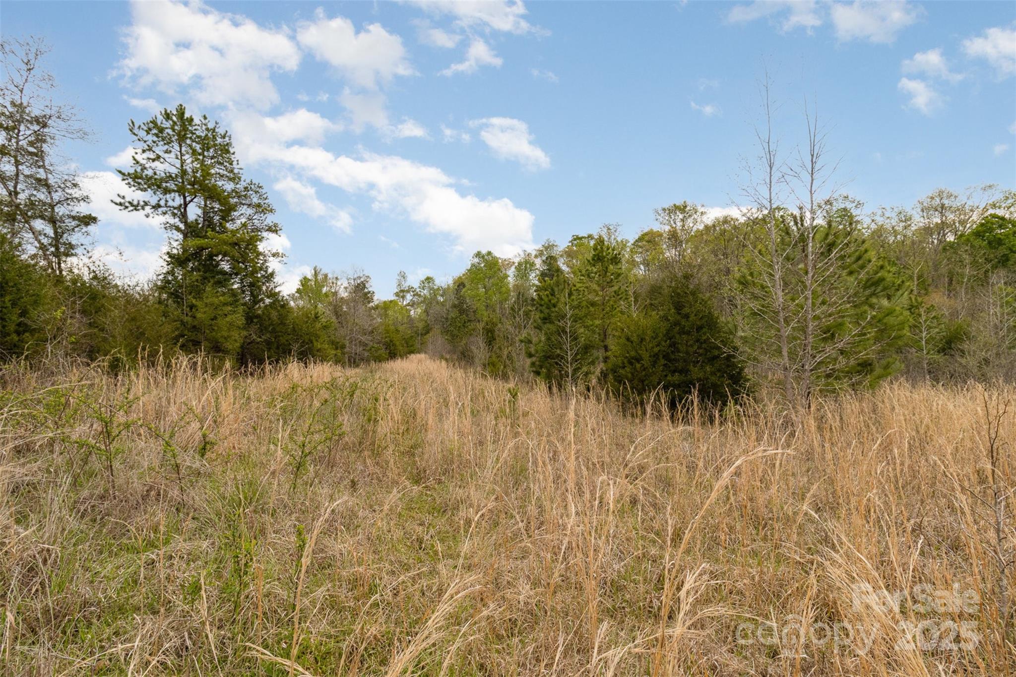 13562 Smith Ford Road Property Photo 2