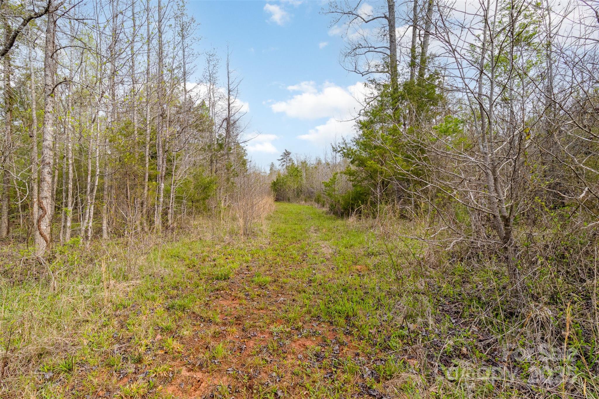 13562 Smith Ford Road Property Photo 3