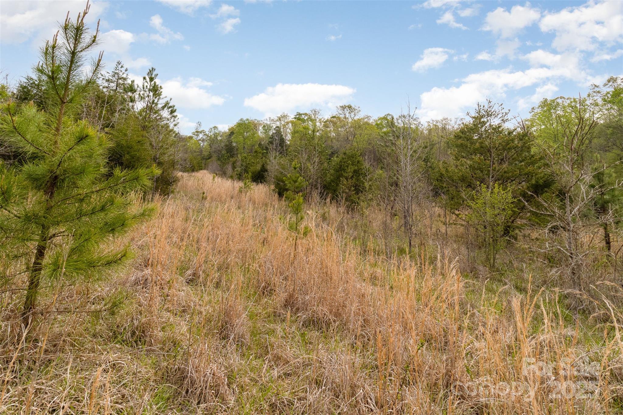 13562 Smith Ford Road Property Photo 4
