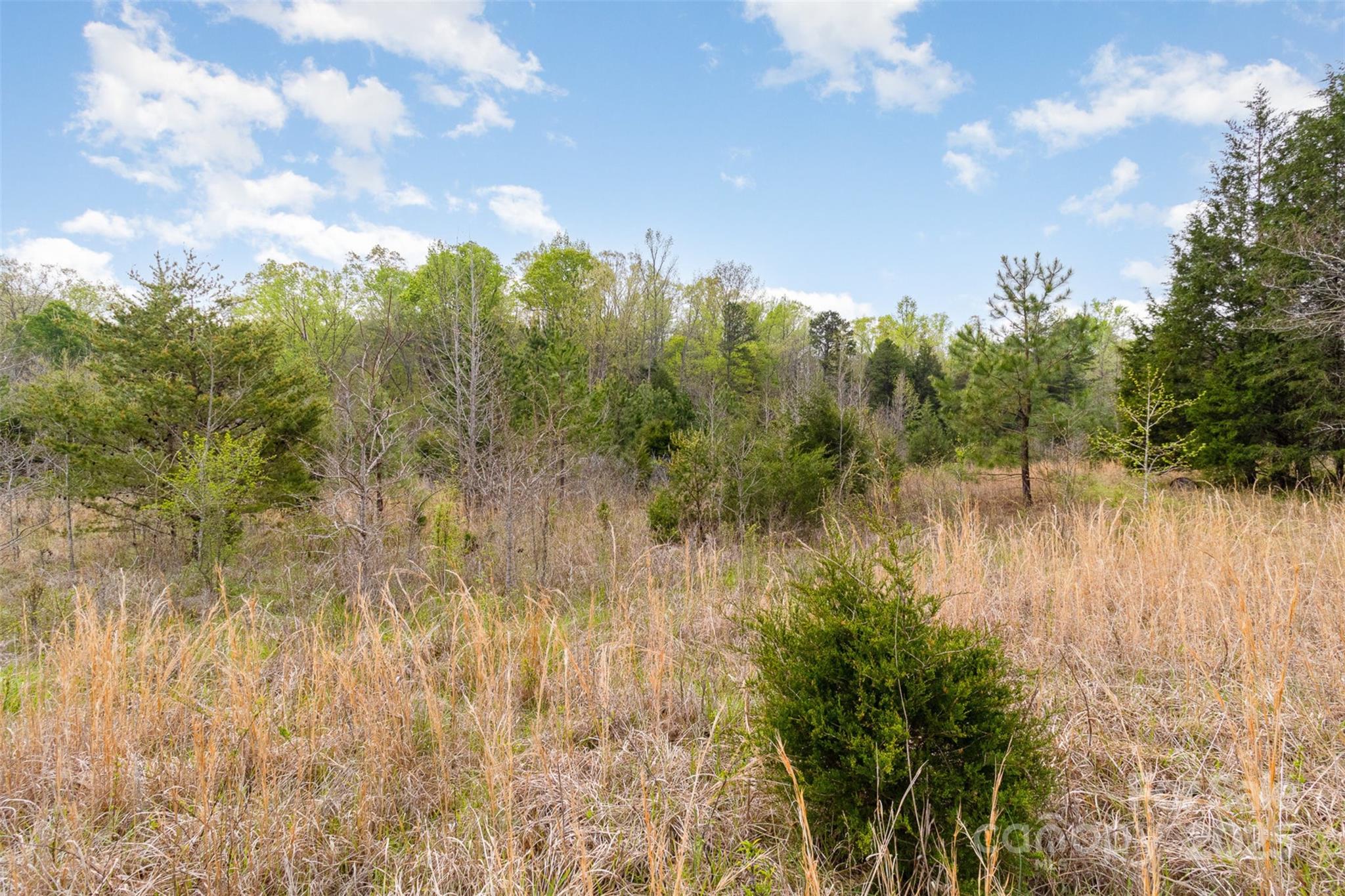 13562 Smith Ford Road Property Photo 5