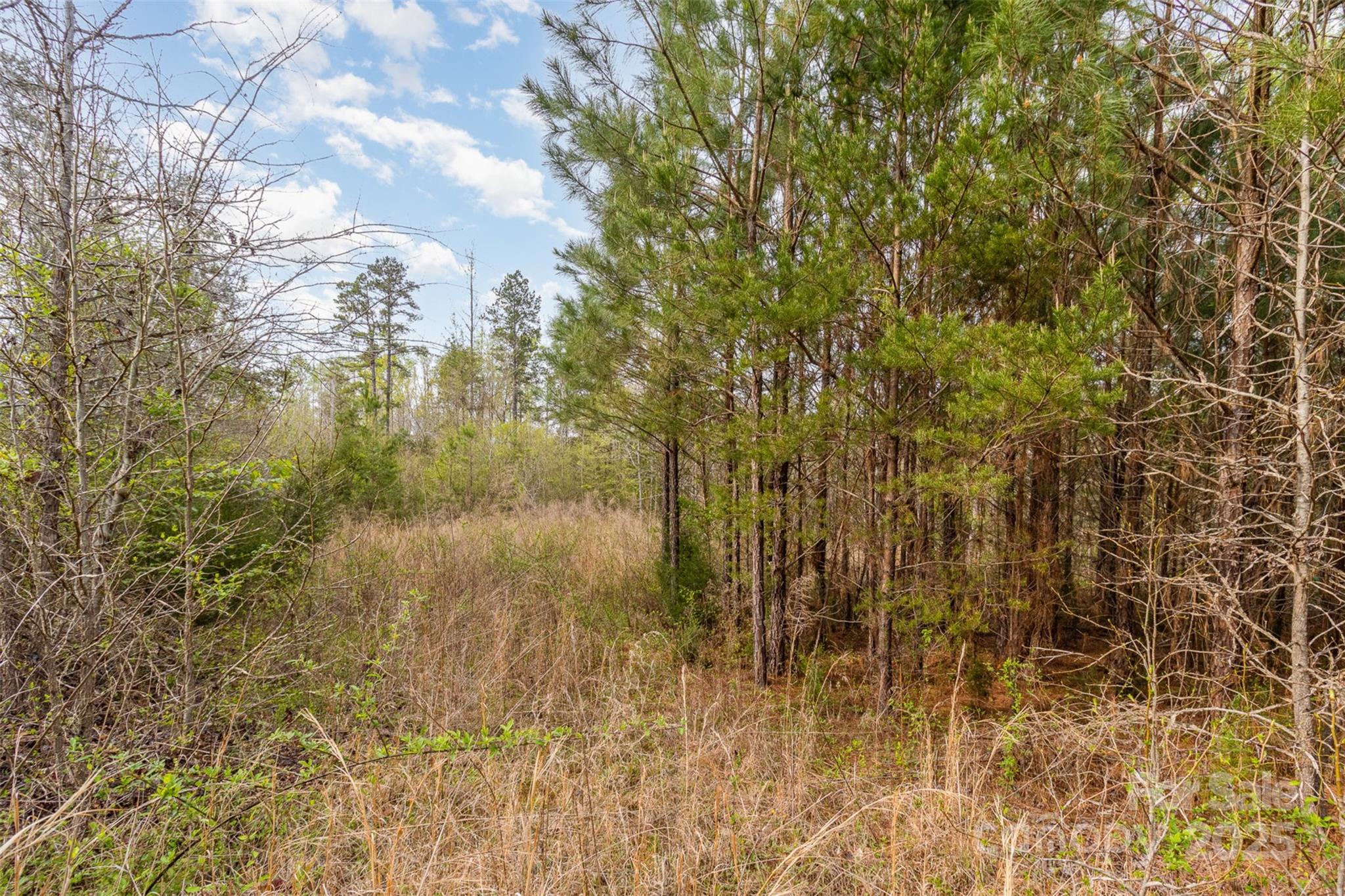 13562 Smith Ford Road Property Photo 7