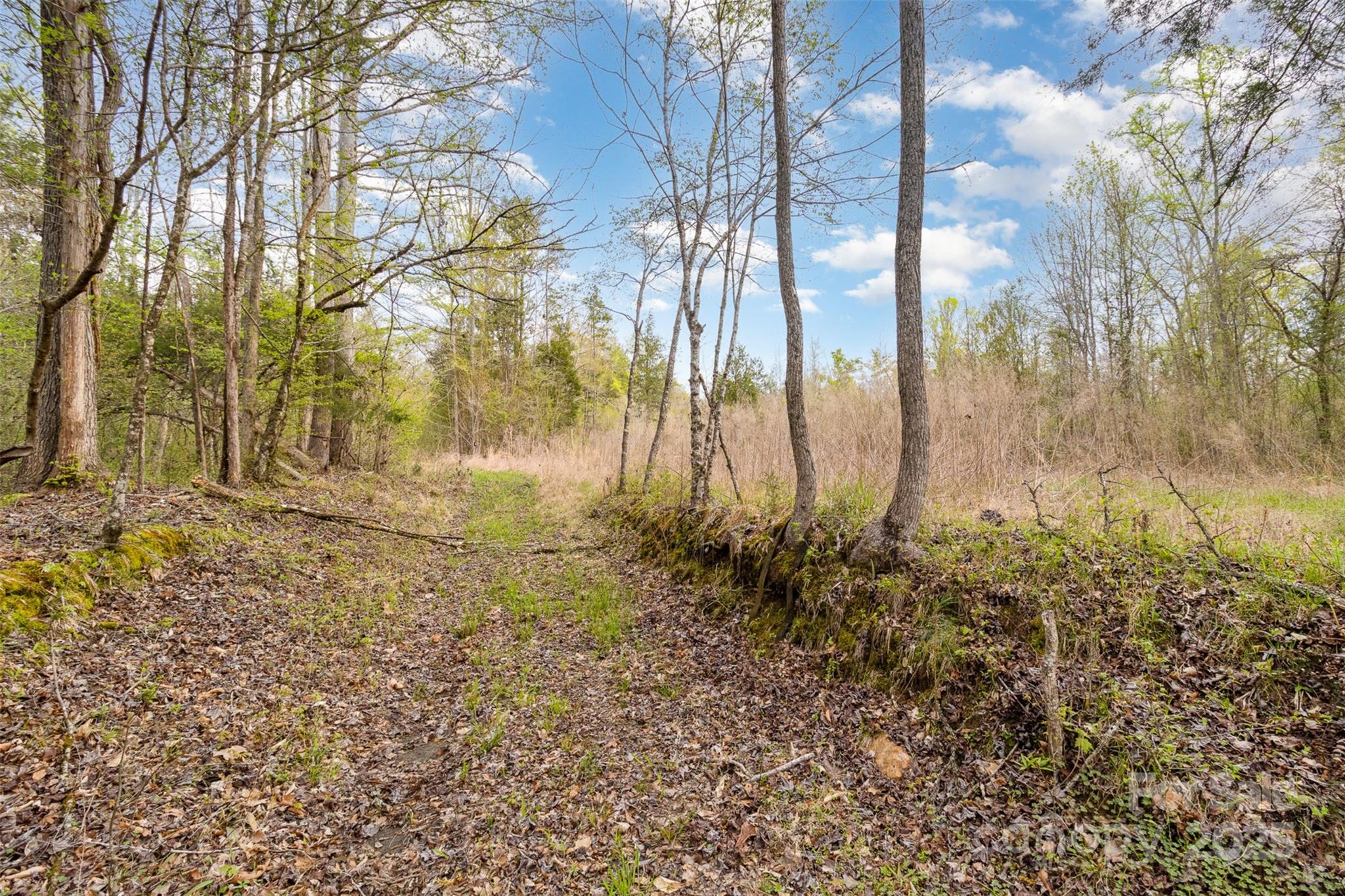 13562 Smith Ford Road Property Photo 8