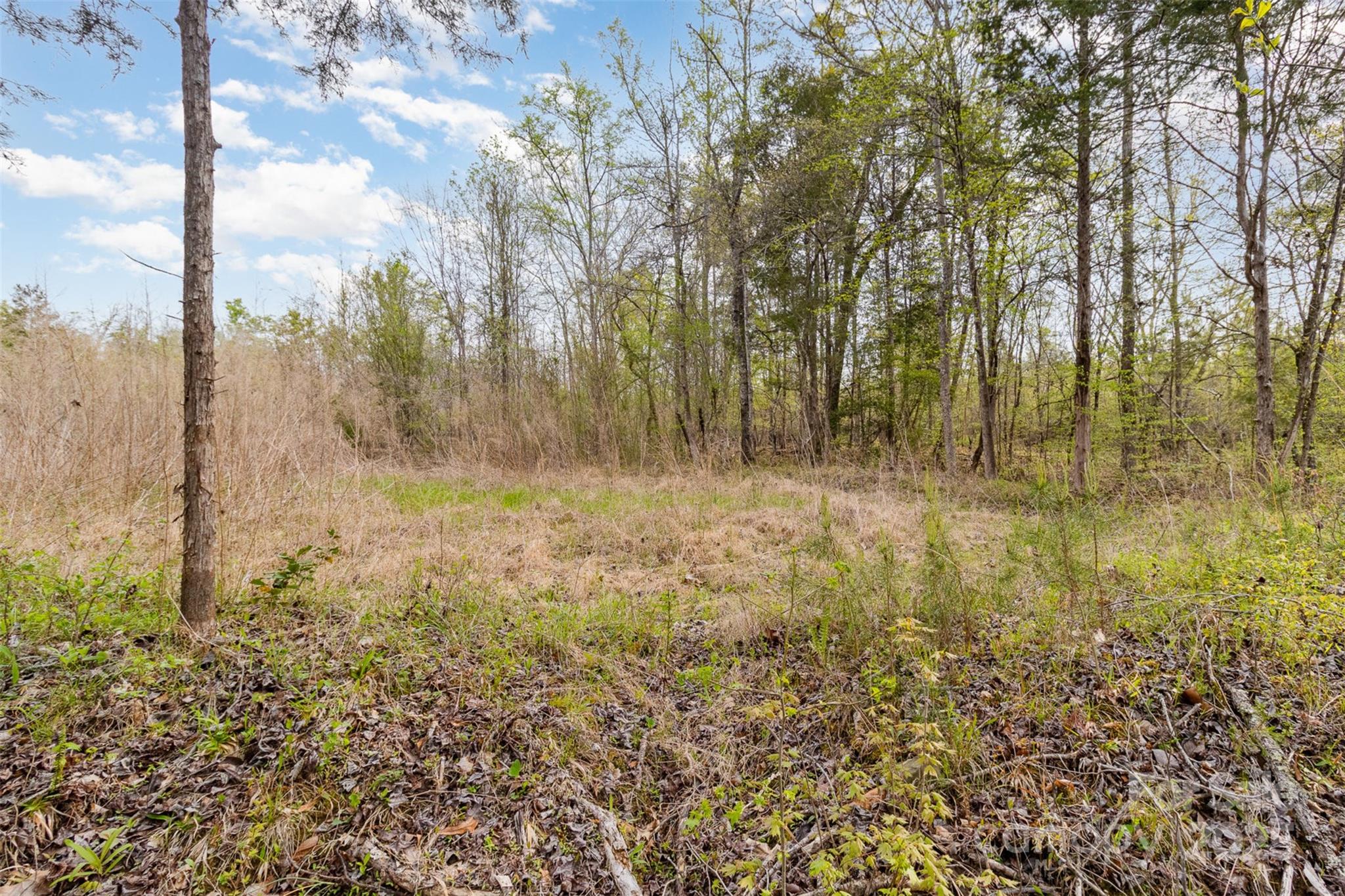 13562 Smith Ford Road Property Photo 9
