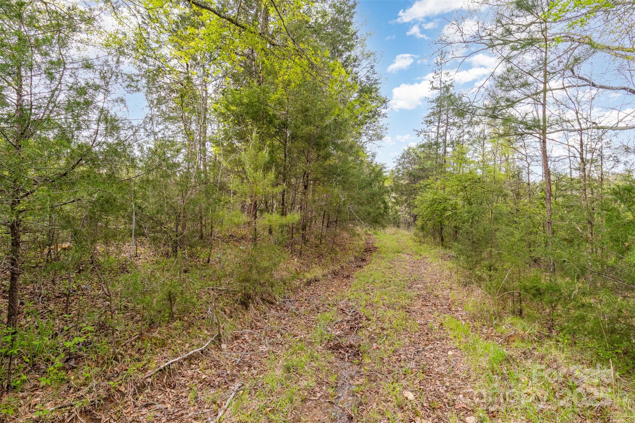 13562 Smith Ford Road Property Photo 10