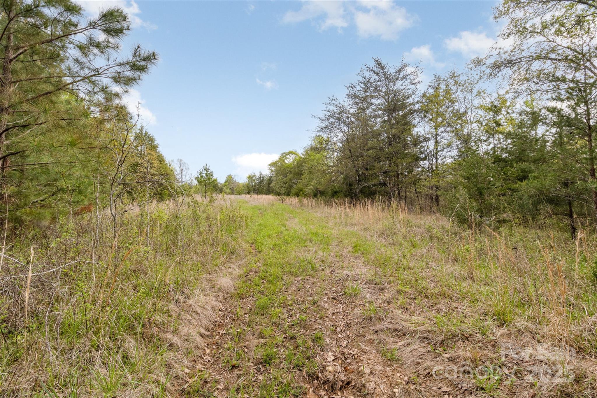 13562 Smith Ford Road Property Photo 11