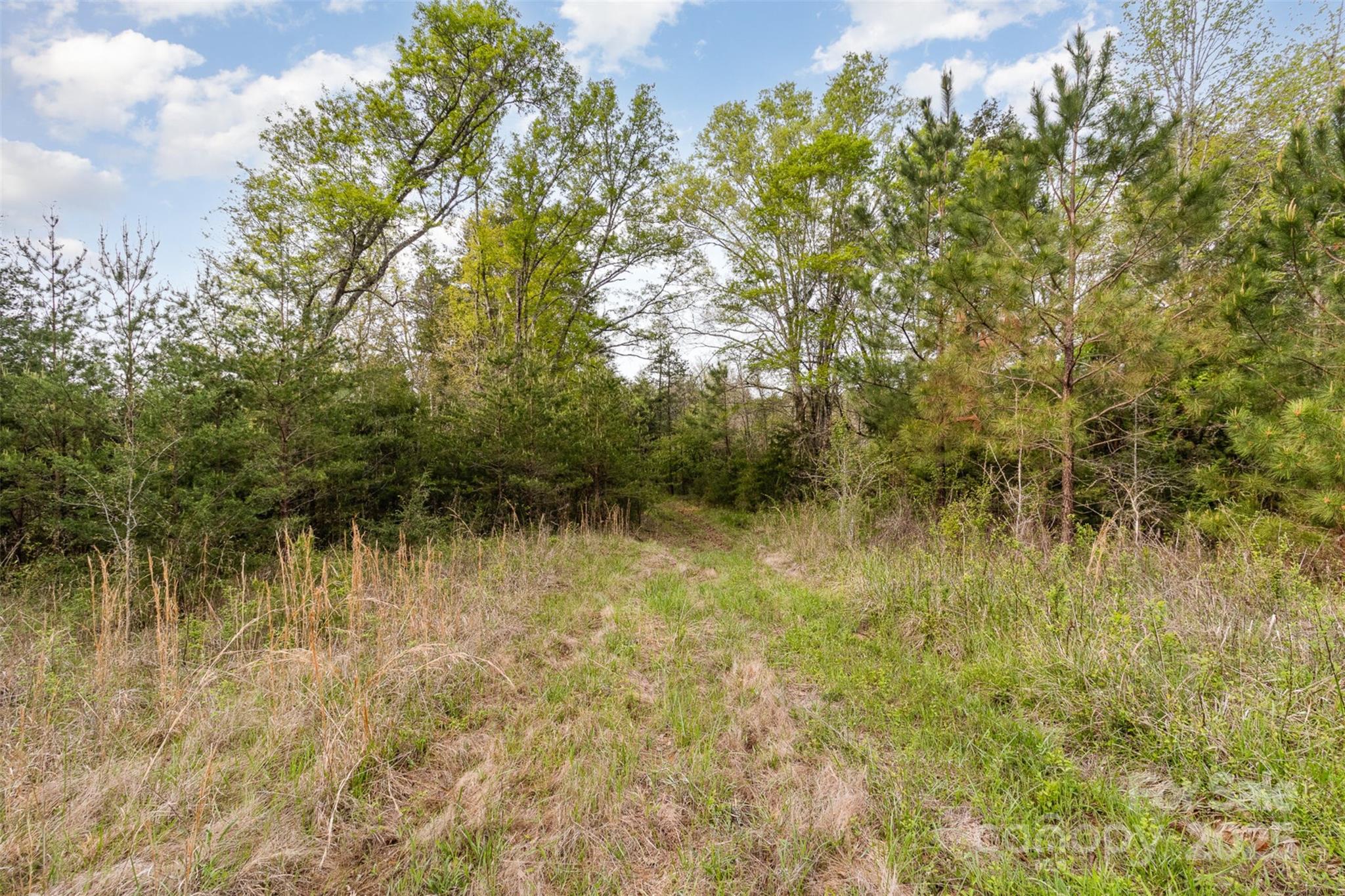 13562 Smith Ford Road Property Photo 12
