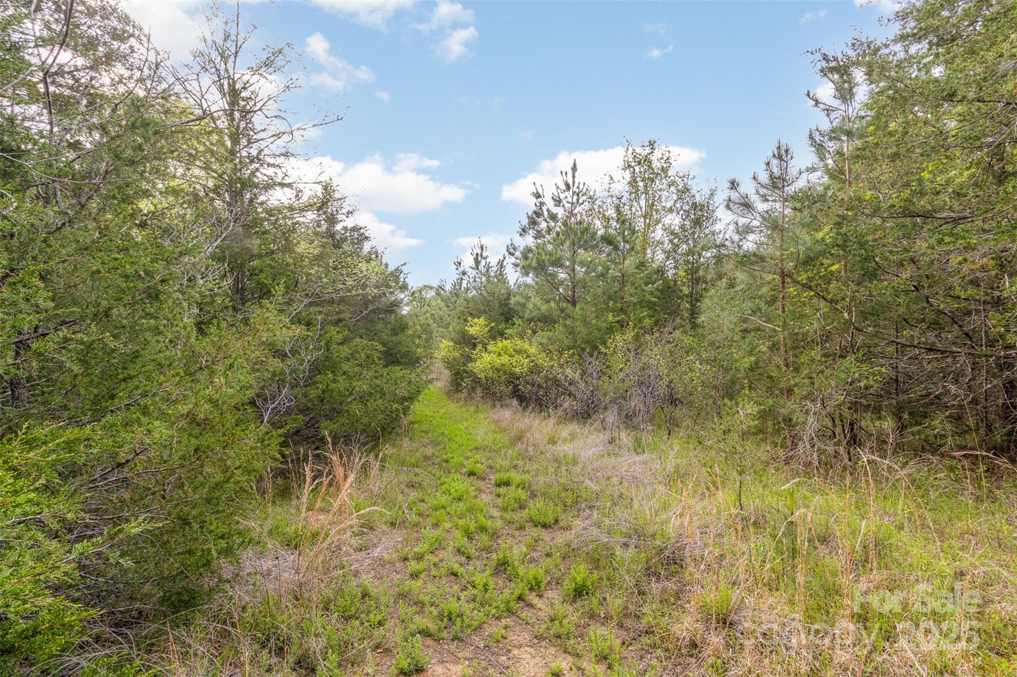 13562 Smith Ford Road Property Photo 14