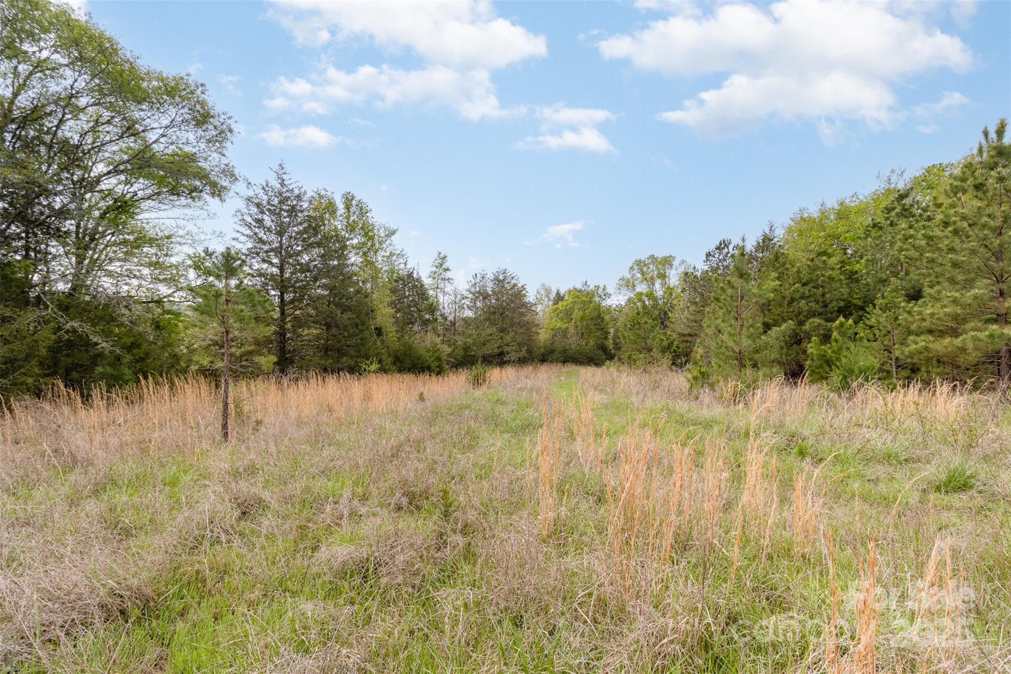 13562 Smith Ford Road Property Photo 15
