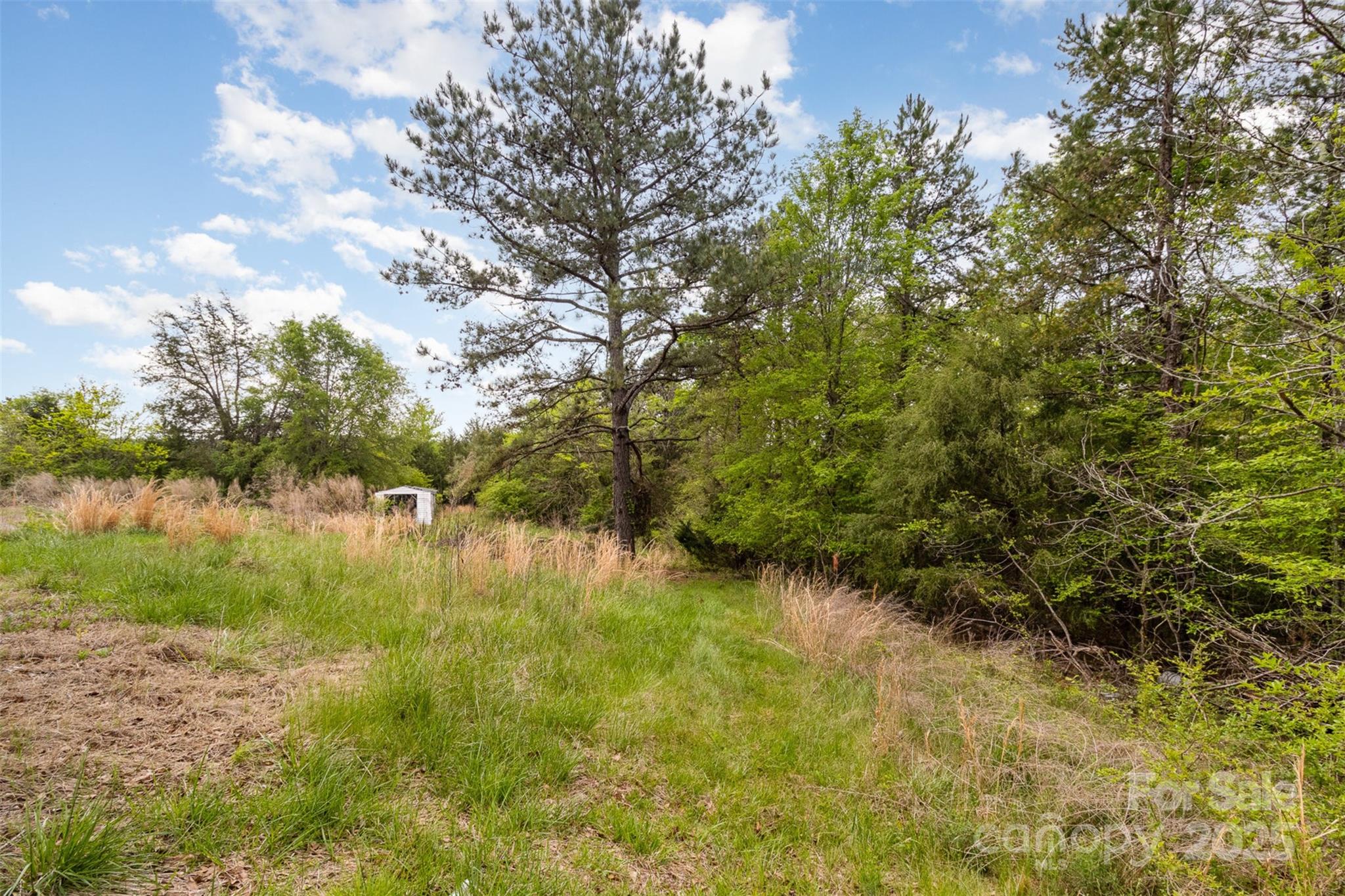 13562 Smith Ford Road Property Photo 16
