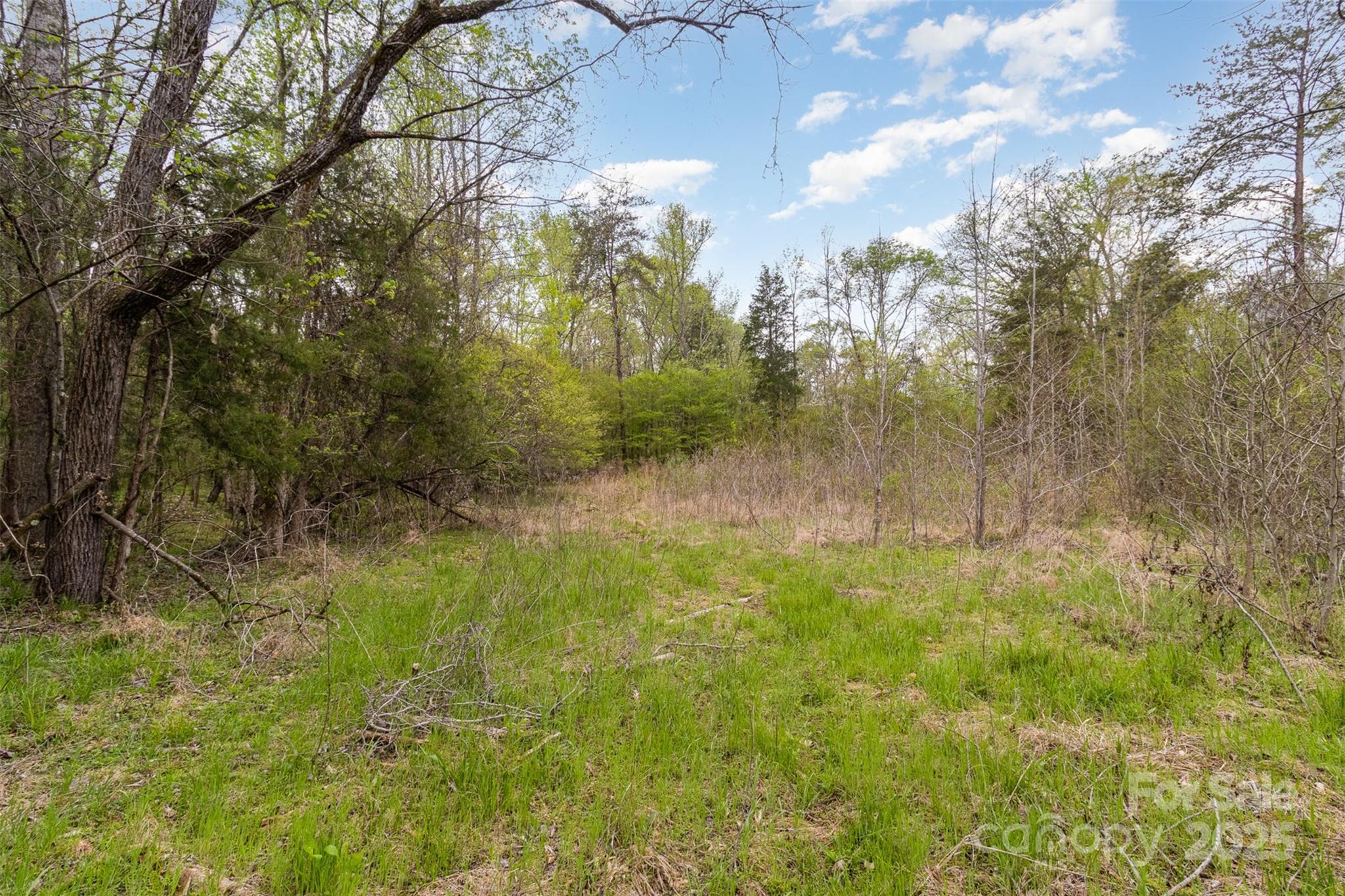 13562 Smith Ford Road Property Photo 18