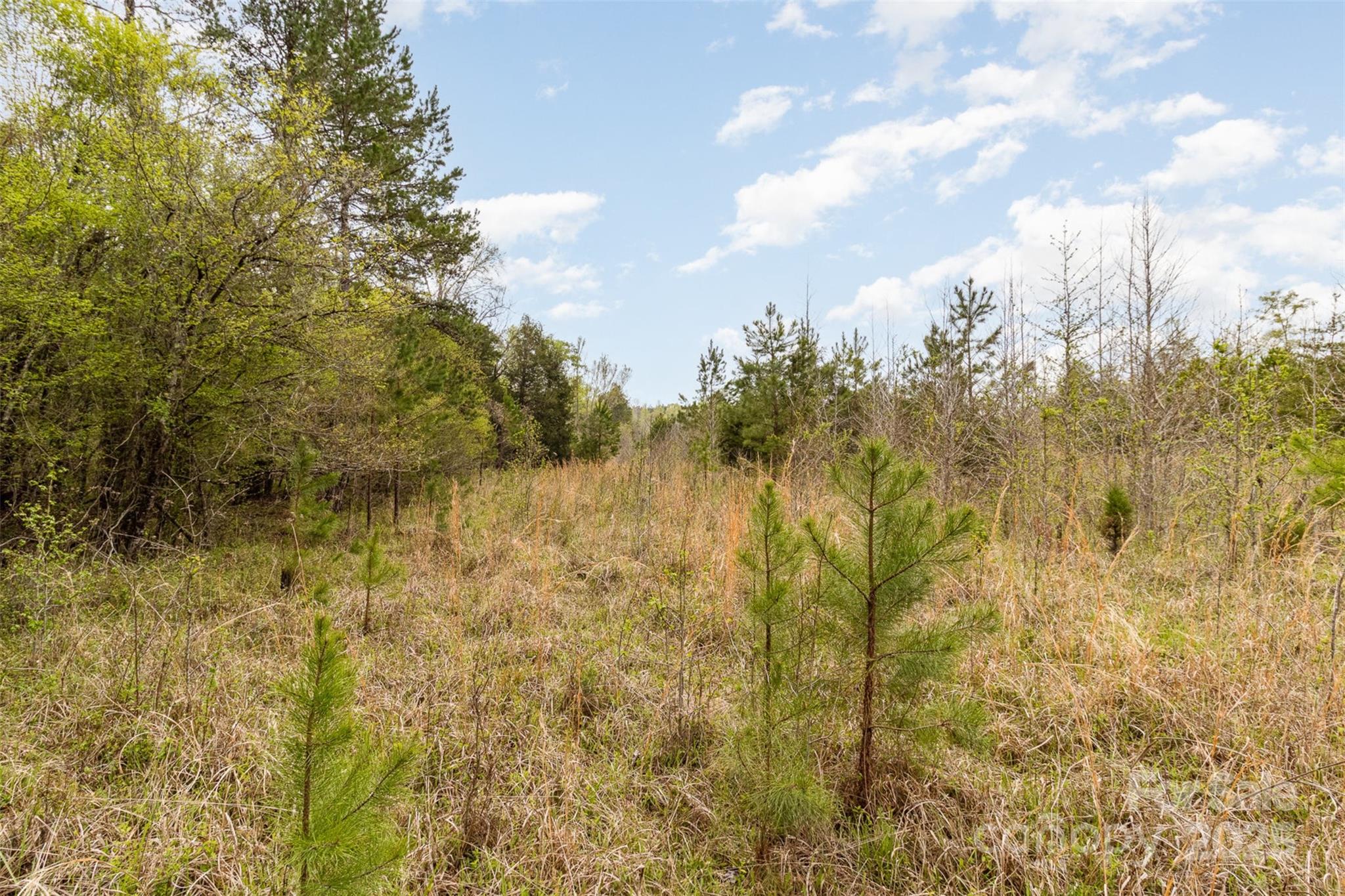 13562 Smith Ford Road Property Photo 19