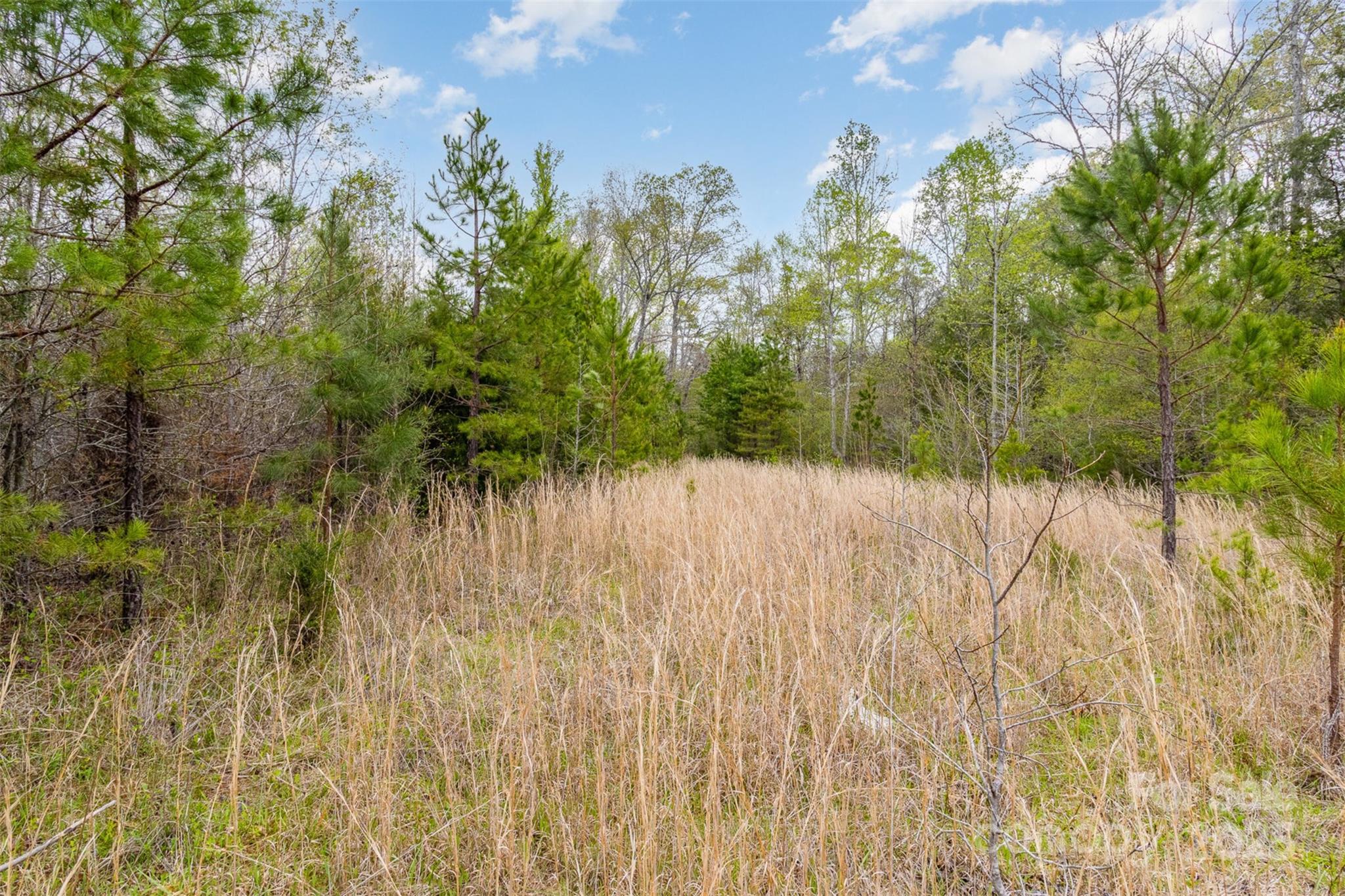 13562 Smith Ford Road Property Photo 20