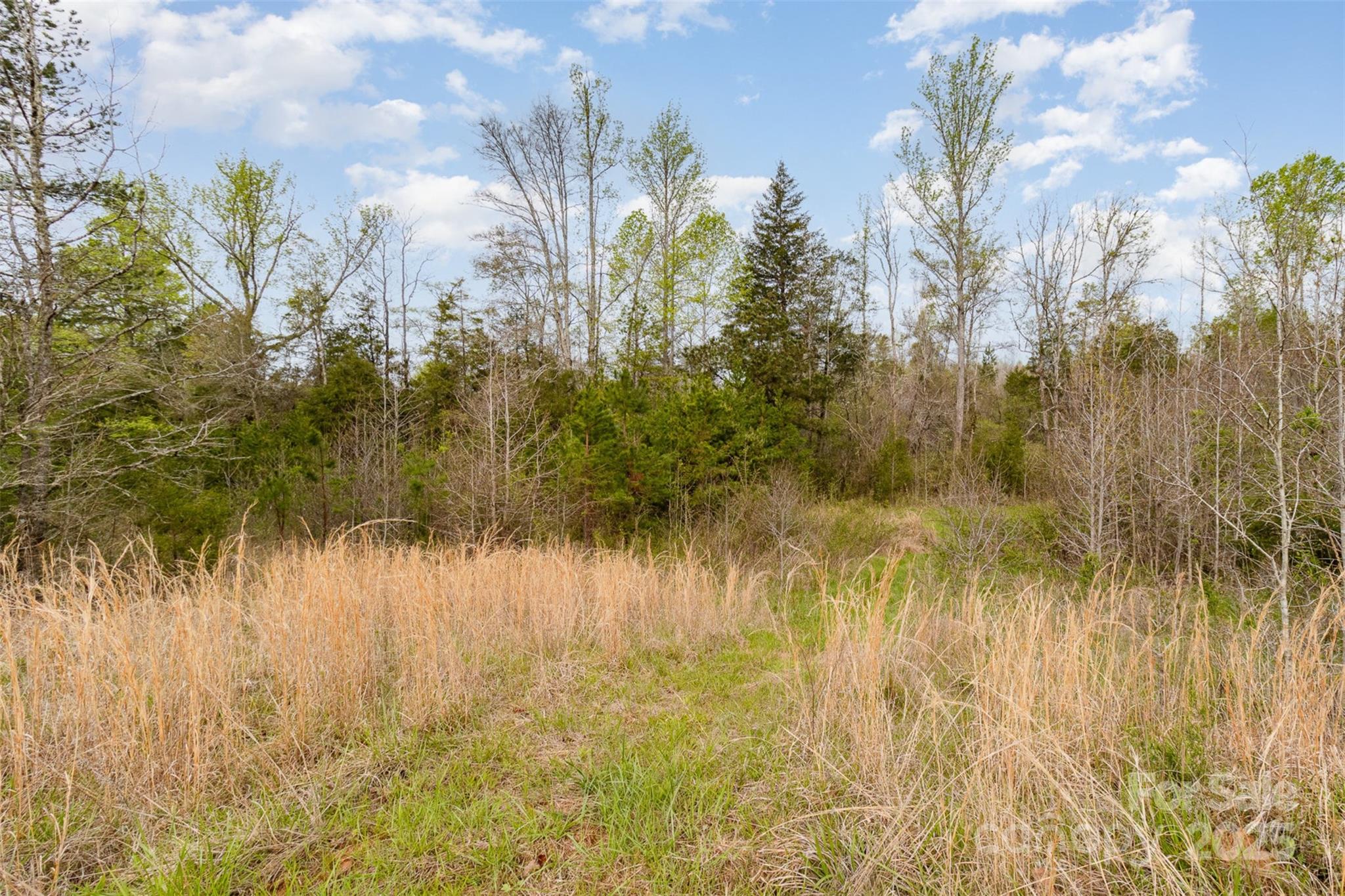 13562 Smith Ford Road Property Photo 21
