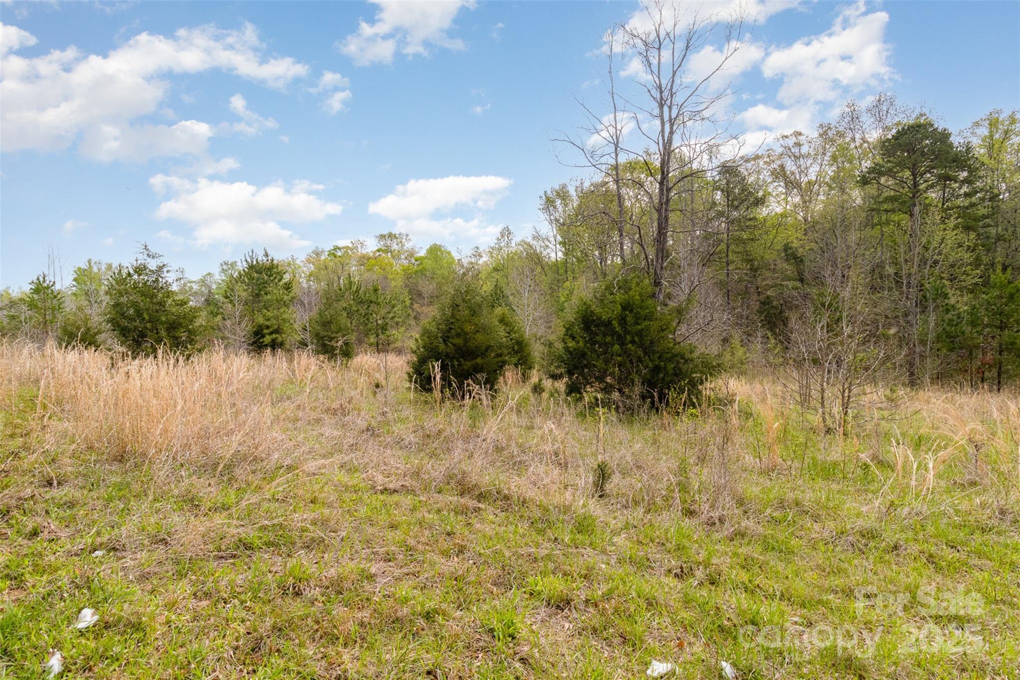 13562 Smith Ford Road Property Photo 22