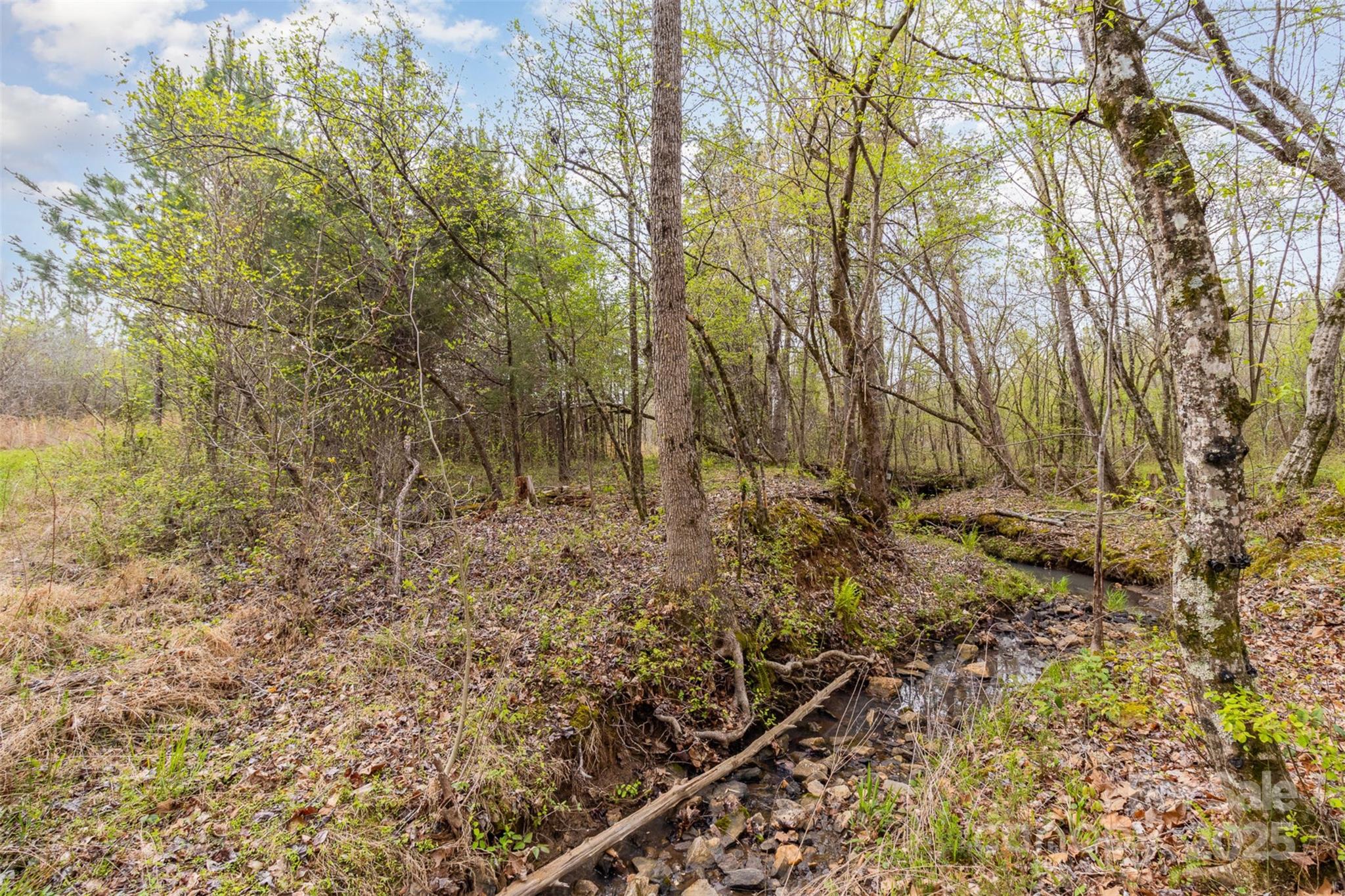 13562 Smith Ford Road Property Photo 23