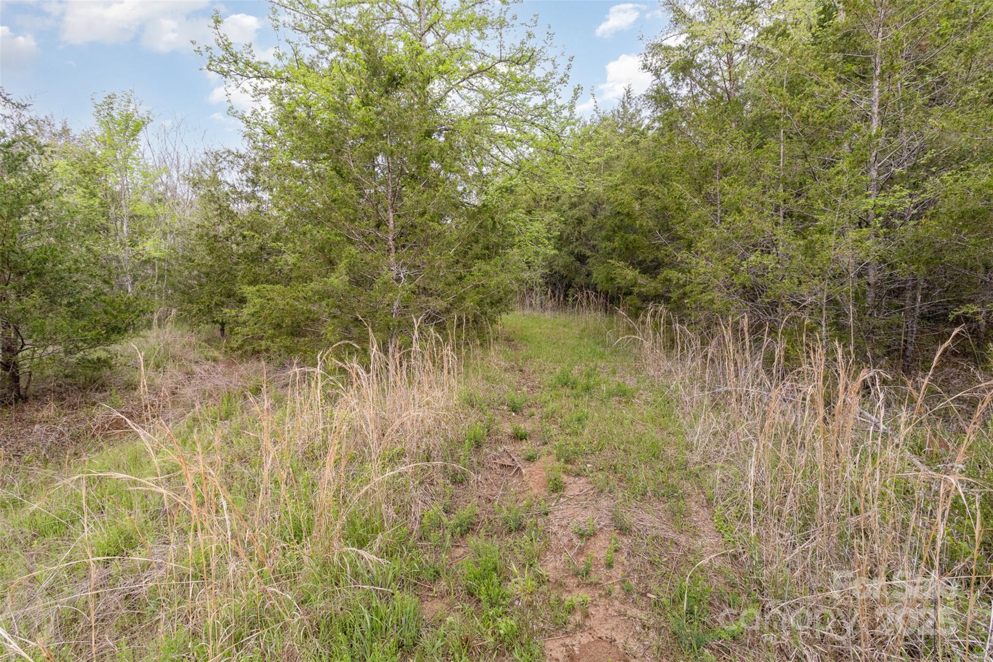 13562 Smith Ford Road Property Photo 24
