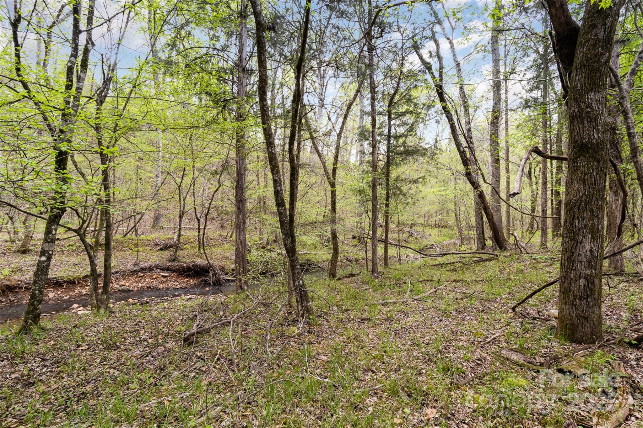 13562 Smith Ford Road Property Photo 25