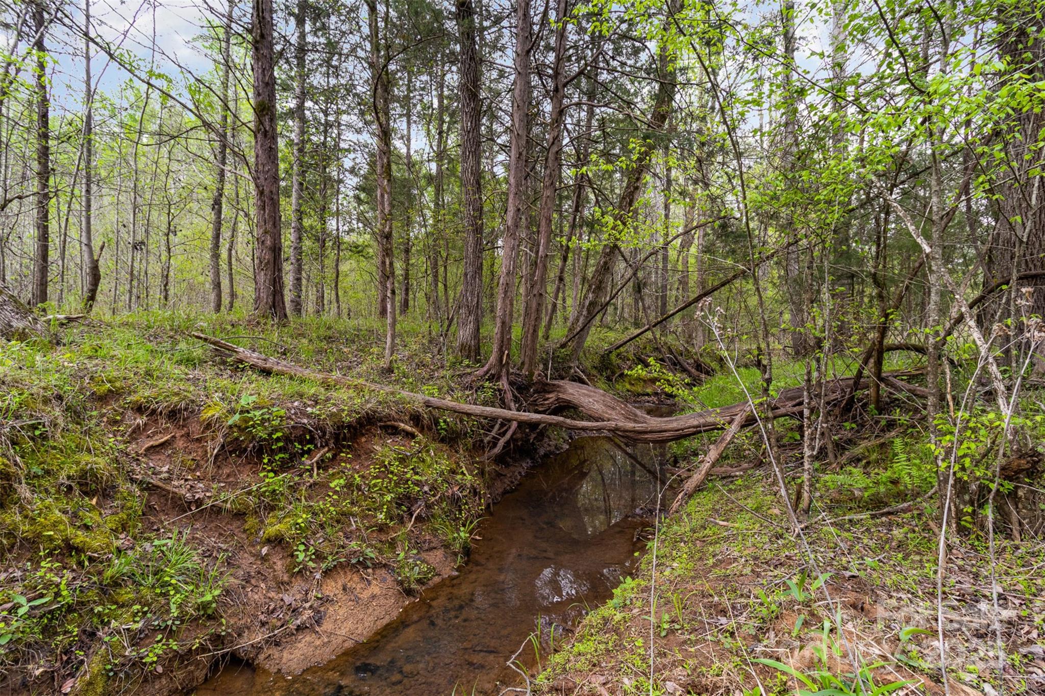 13562 Smith Ford Road Property Photo 26