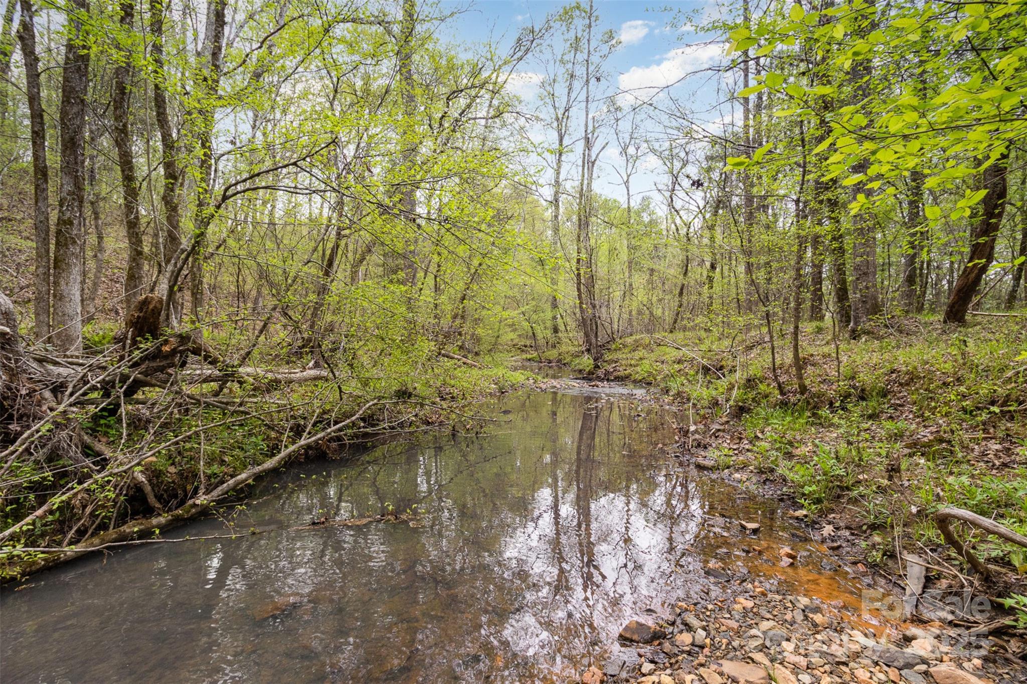 13562 Smith Ford Road Property Photo 28