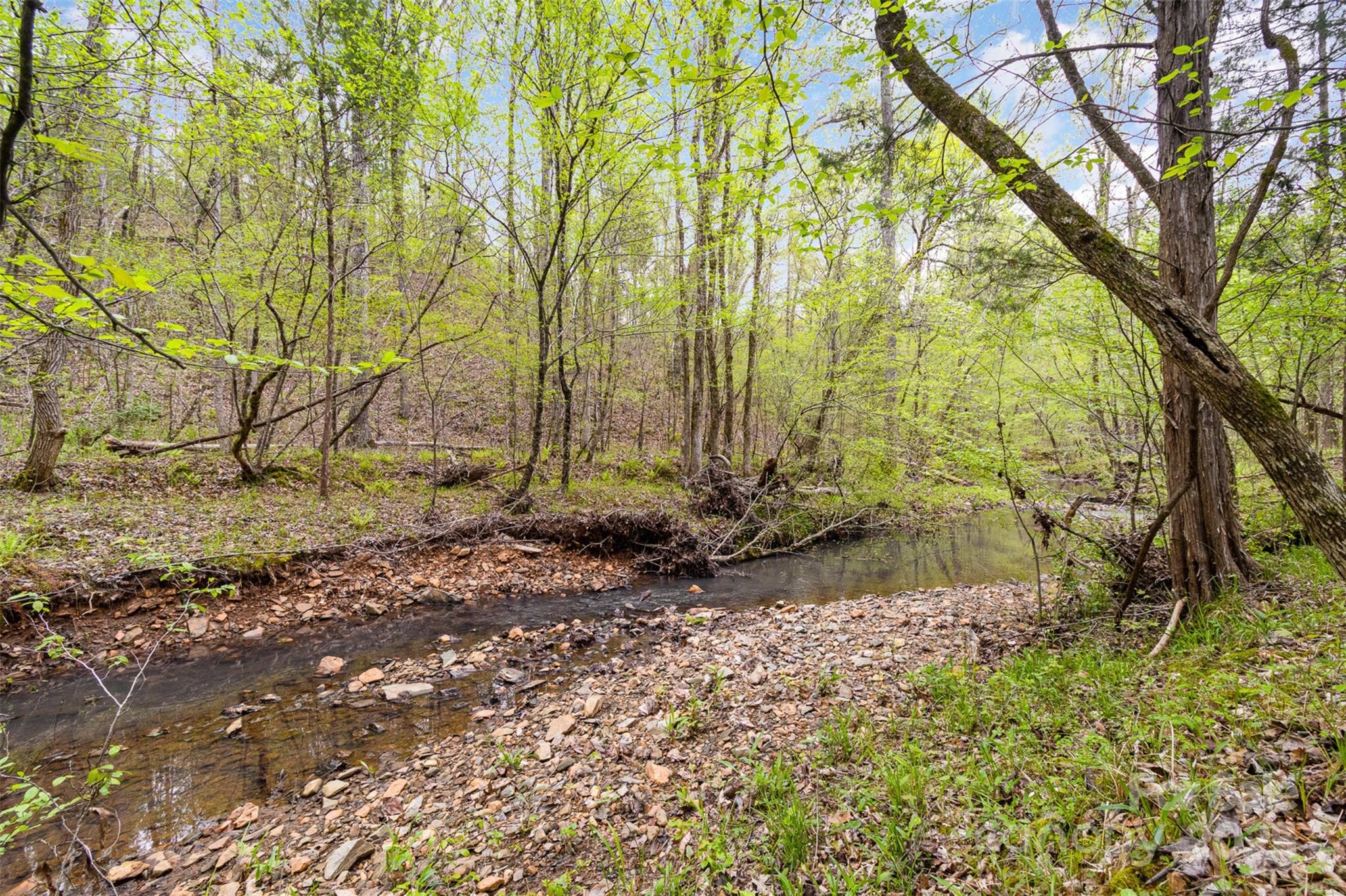 13562 Smith Ford Road Property Photo 29