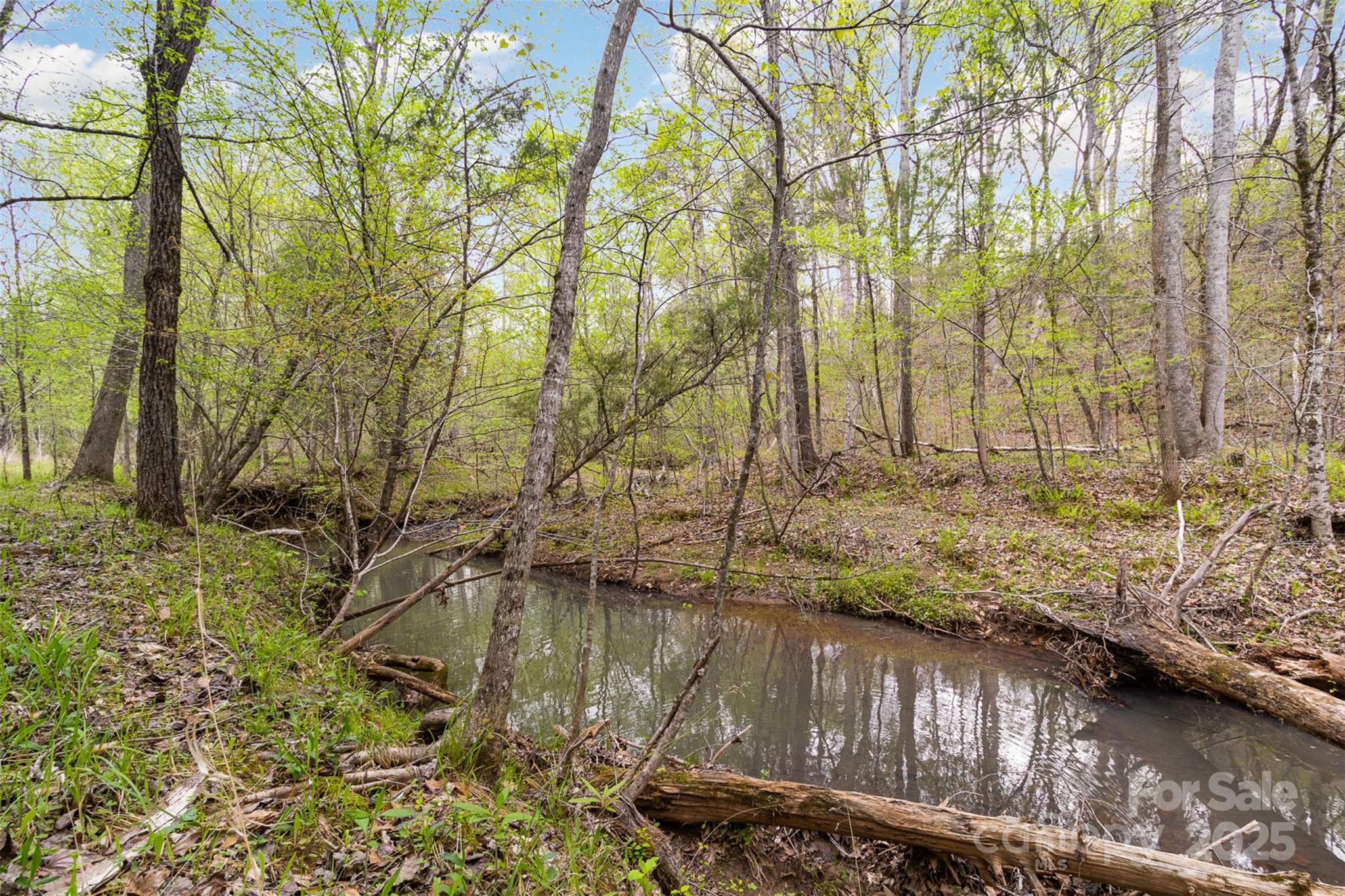 13562 Smith Ford Road Property Photo 30