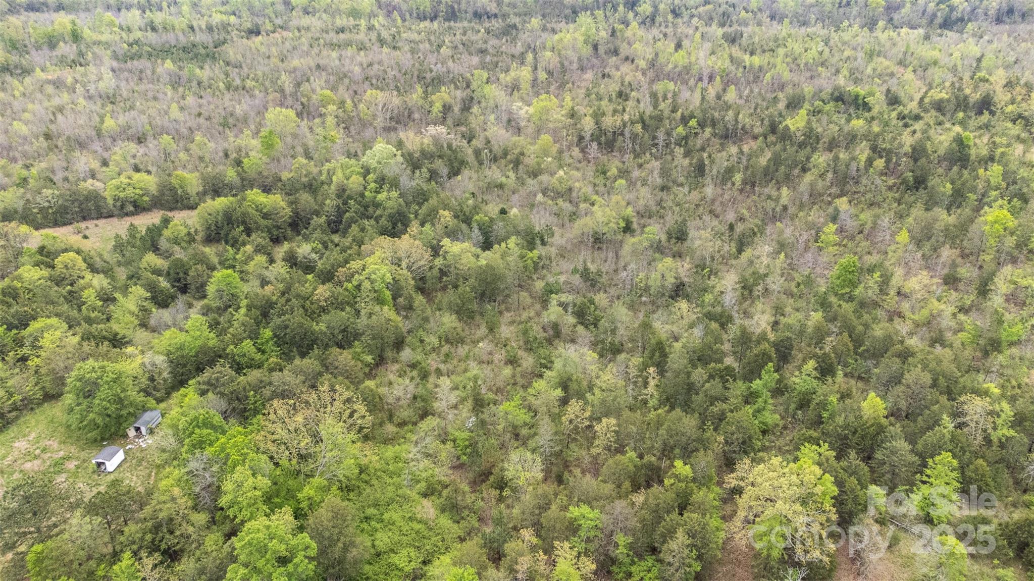 13562 Smith Ford Road Property Photo 31
