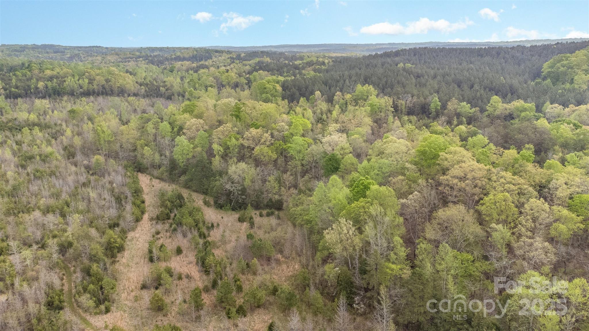 13562 Smith Ford Road Property Photo 32