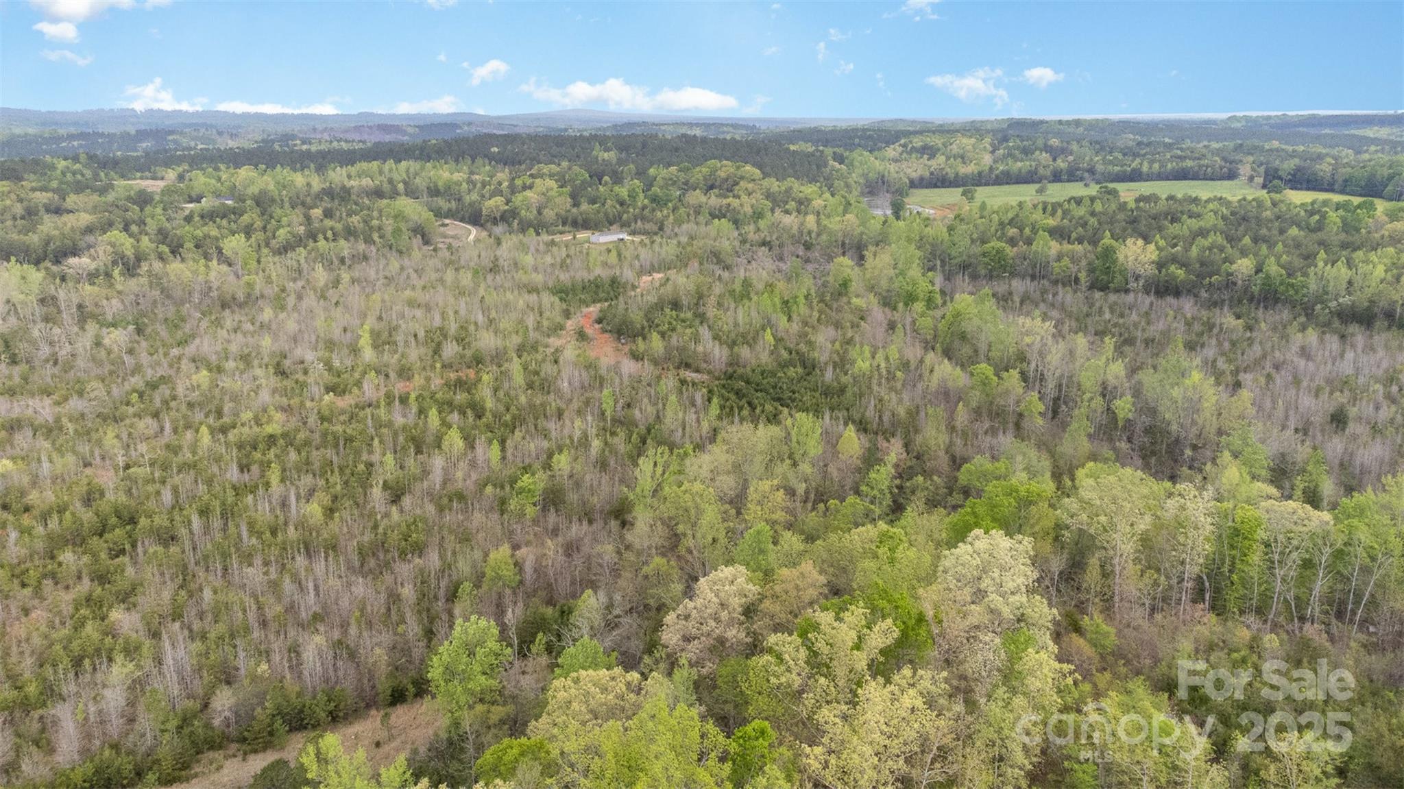 13562 Smith Ford Road Property Photo 33