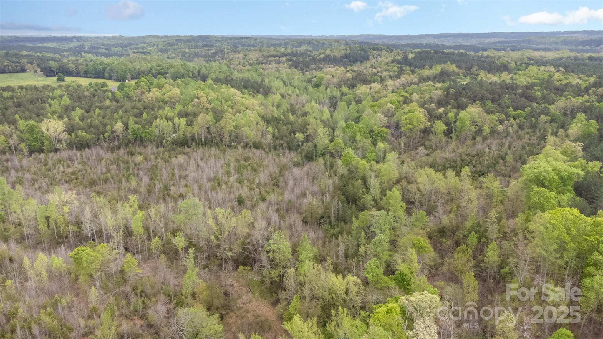13562 Smith Ford Road Property Photo 34