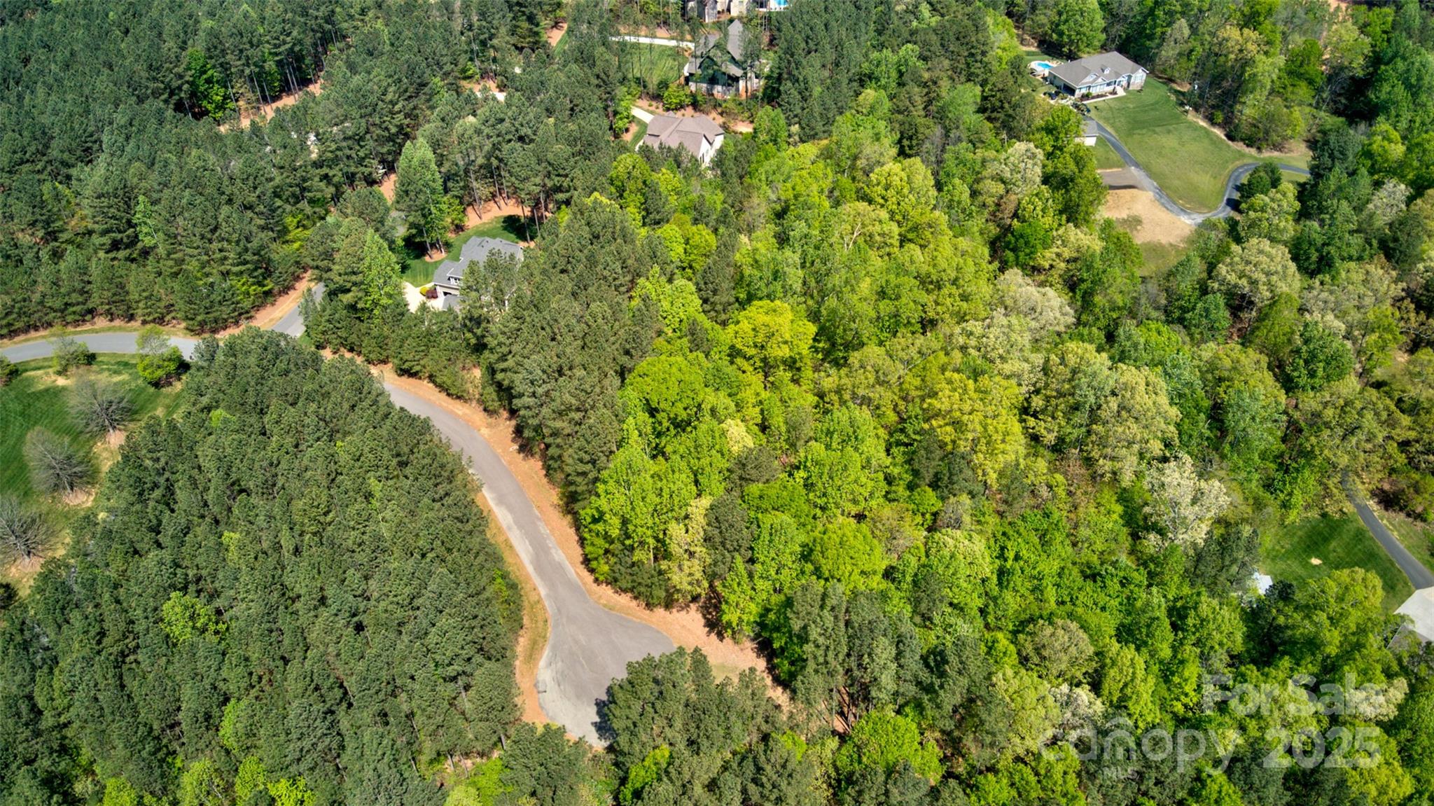 111 Cinder Ridge Court Property Photo 4
