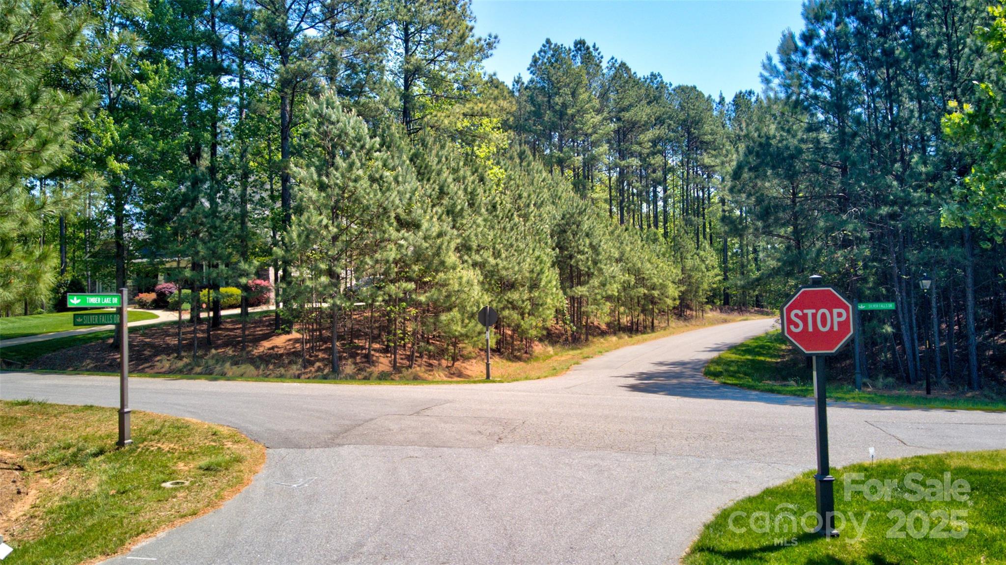 111 Cinder Ridge Court Property Photo 8