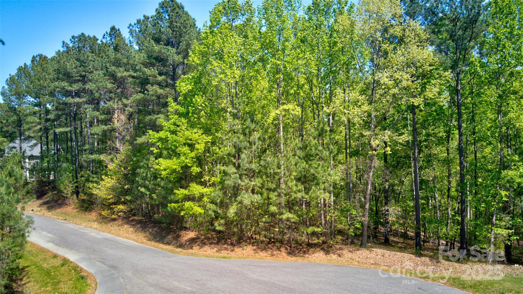 111 Cinder Ridge Court Property Photo 9