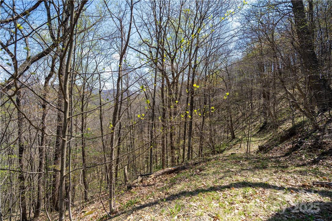 5 Wolfsbane Trail 5 Property Photo 4