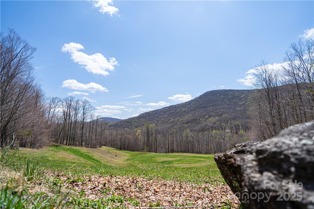 5 Wolfsbane Trail 5 Property Photo 11