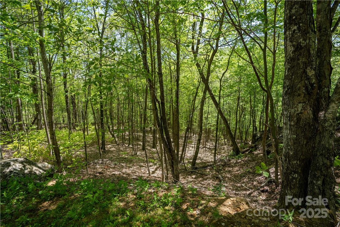 5 Wolfsbane Trail 5 Property Photo 25