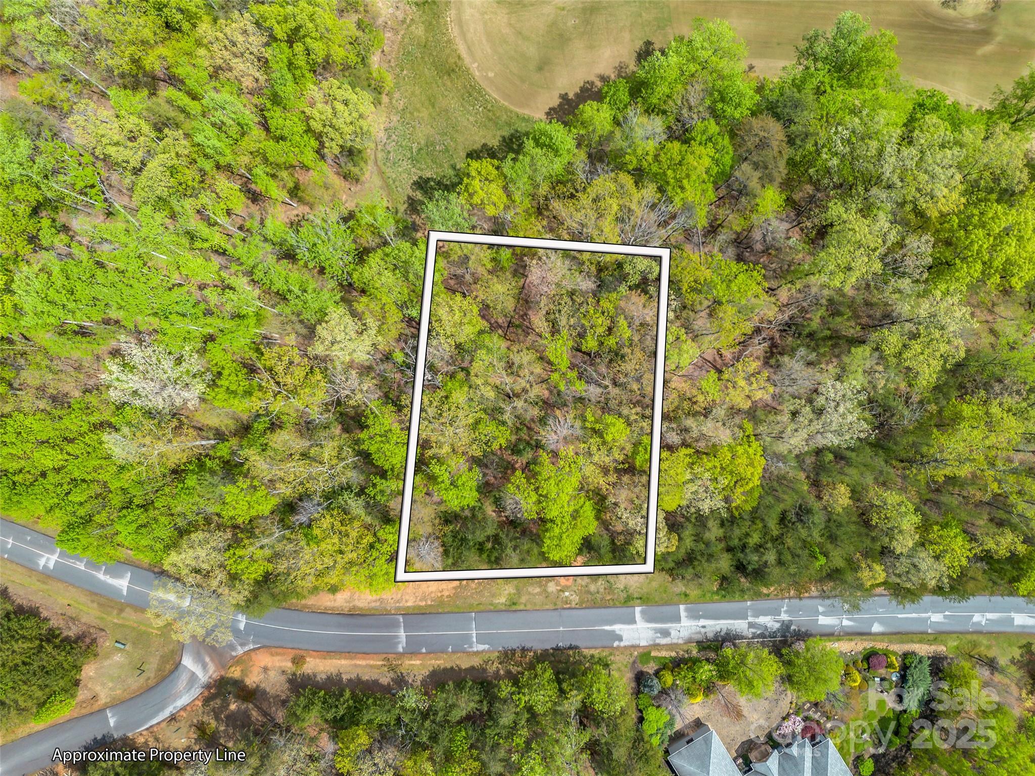 112 Deep Gap Farm Road Property Photo 5