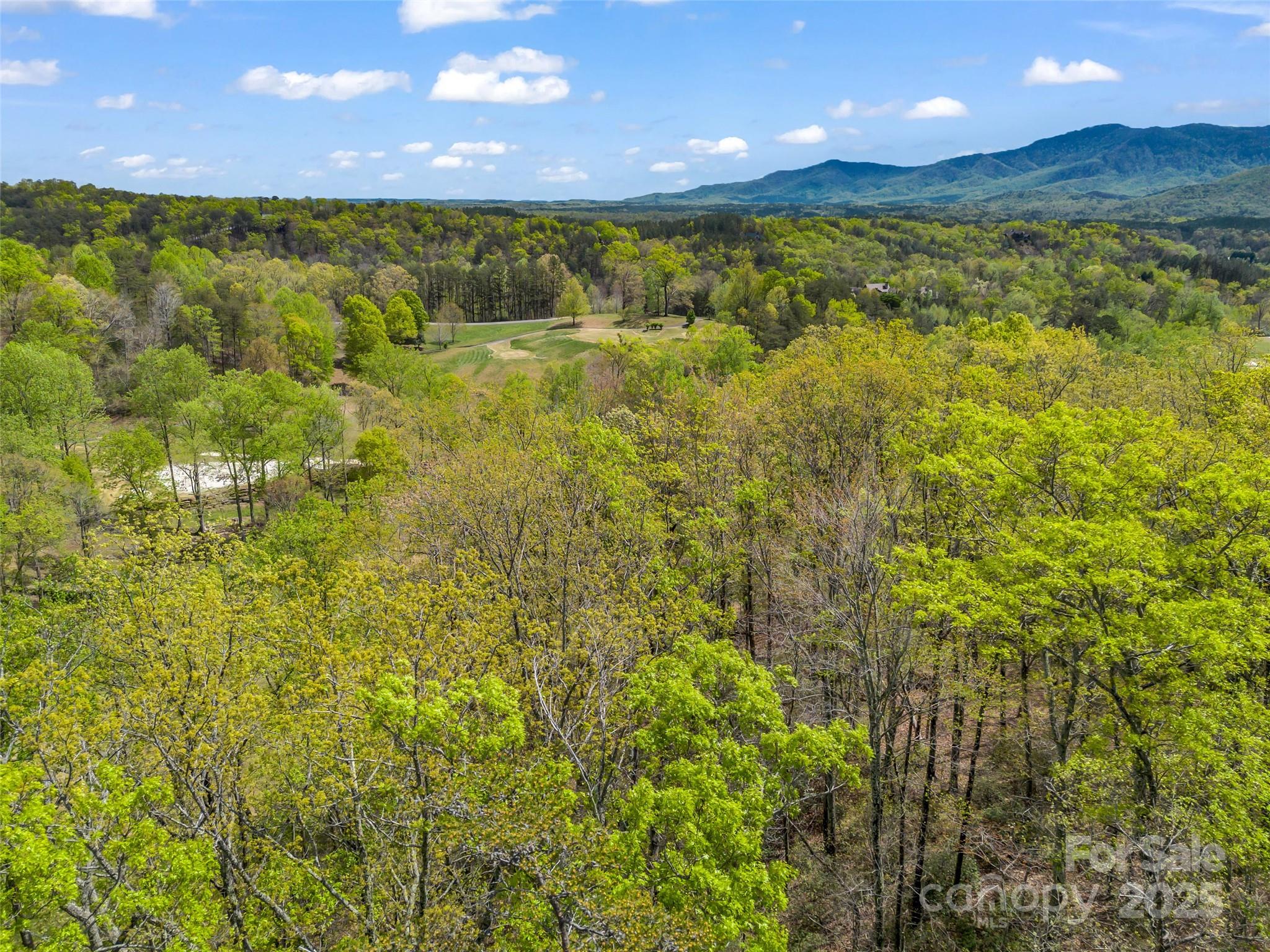112 Deep Gap Farm Road Property Photo 6
