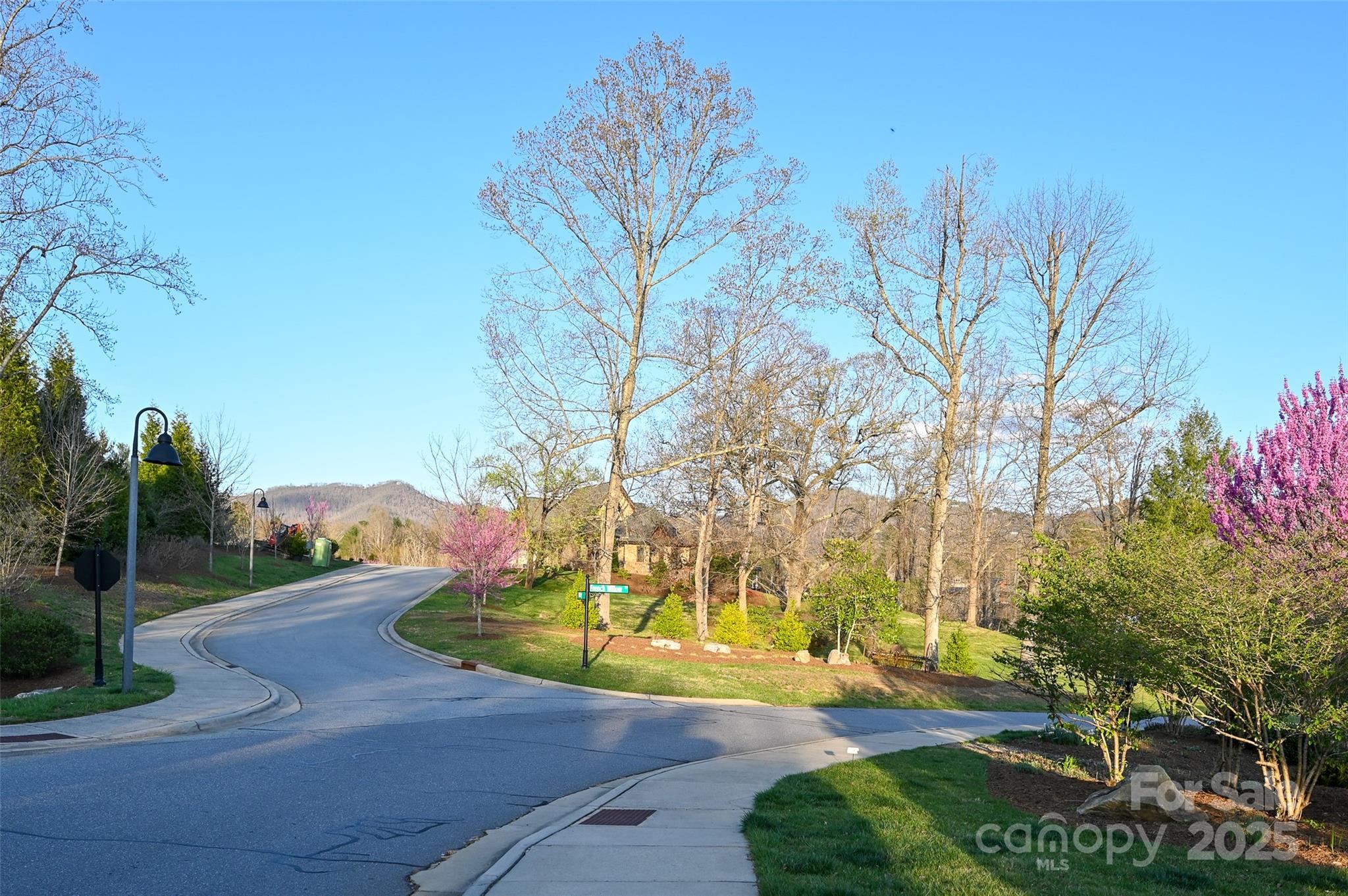 64 French Willow Drive Property Photo 6