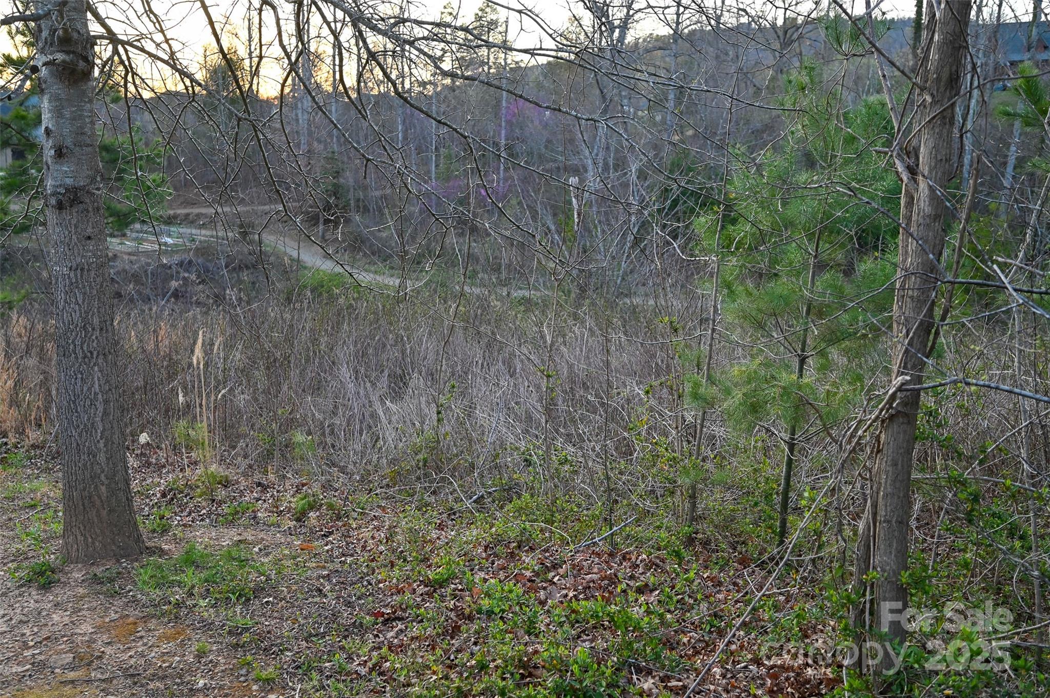 64 French Willow Drive Property Photo 20
