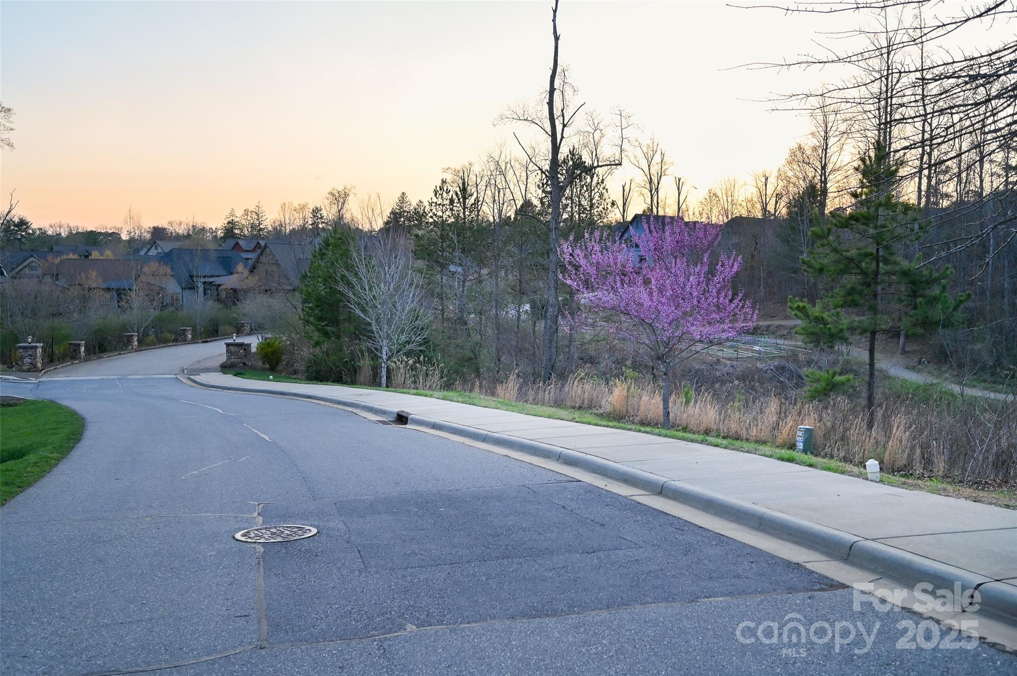 64 French Willow Drive Property Photo 21