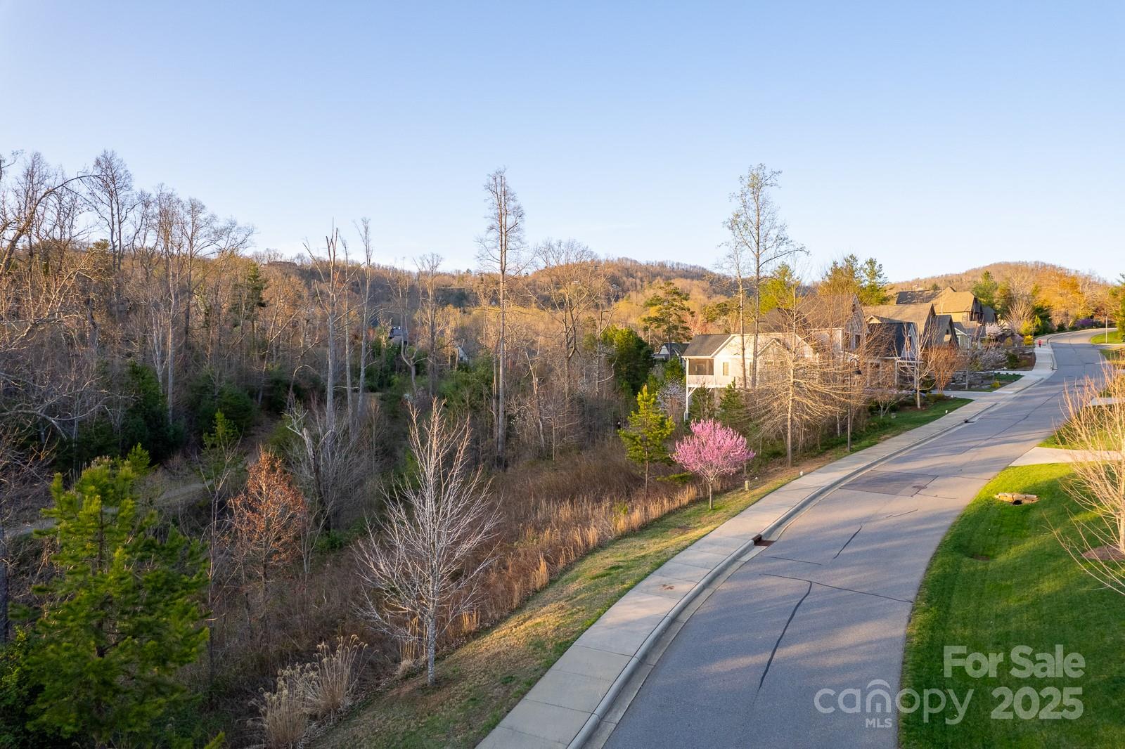 64 French Willow Drive Property Photo 22