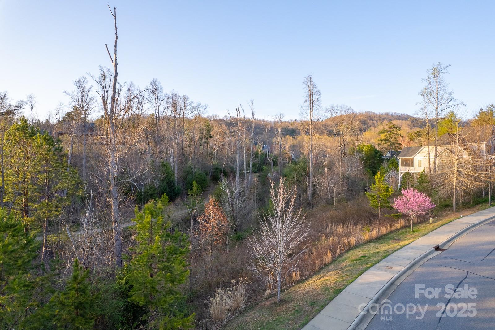 64 French Willow Drive Property Photo 23