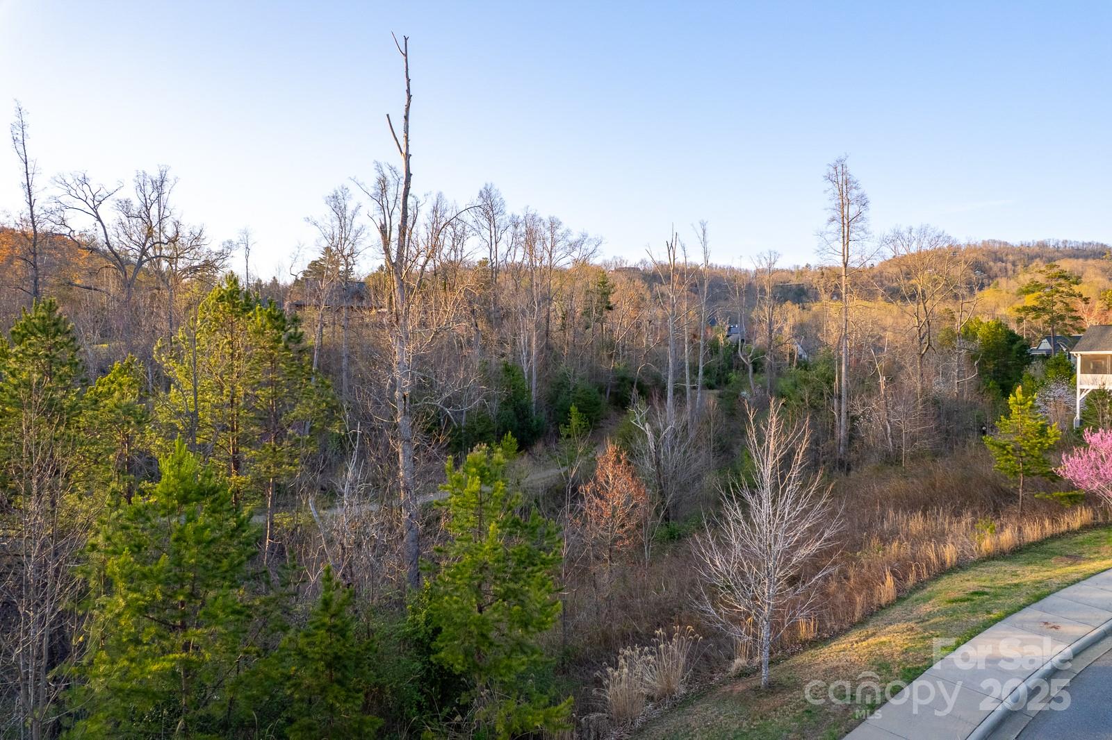 64 French Willow Drive Property Photo 24