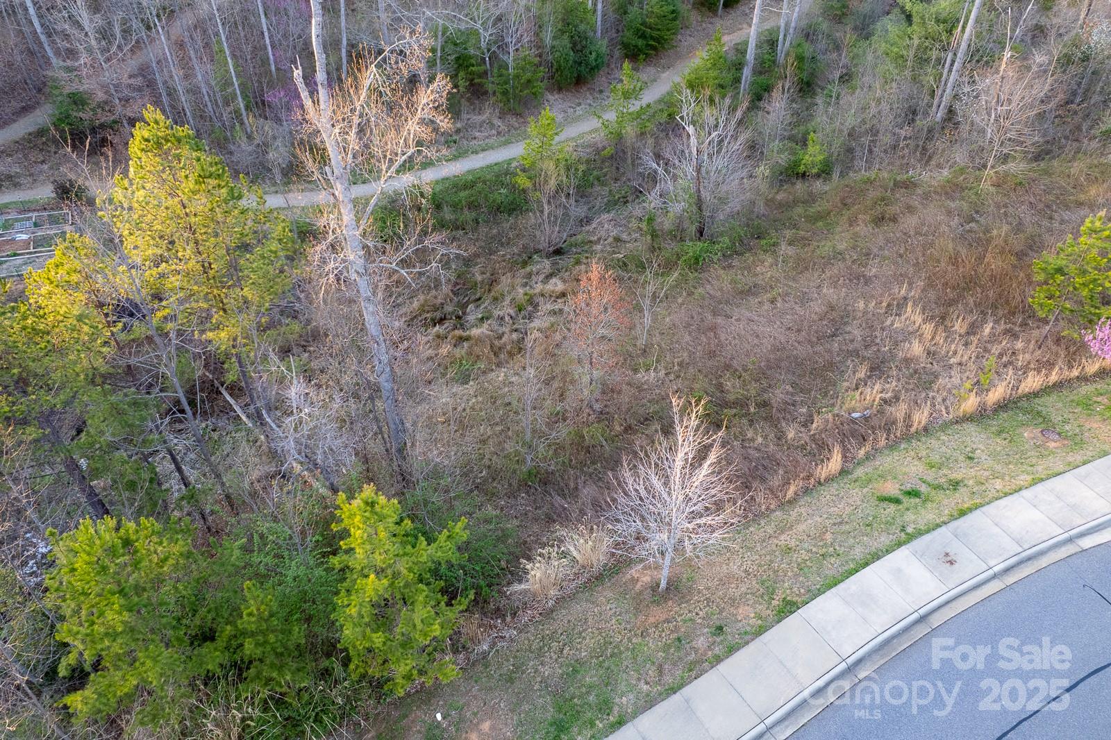 64 French Willow Drive Property Photo 38