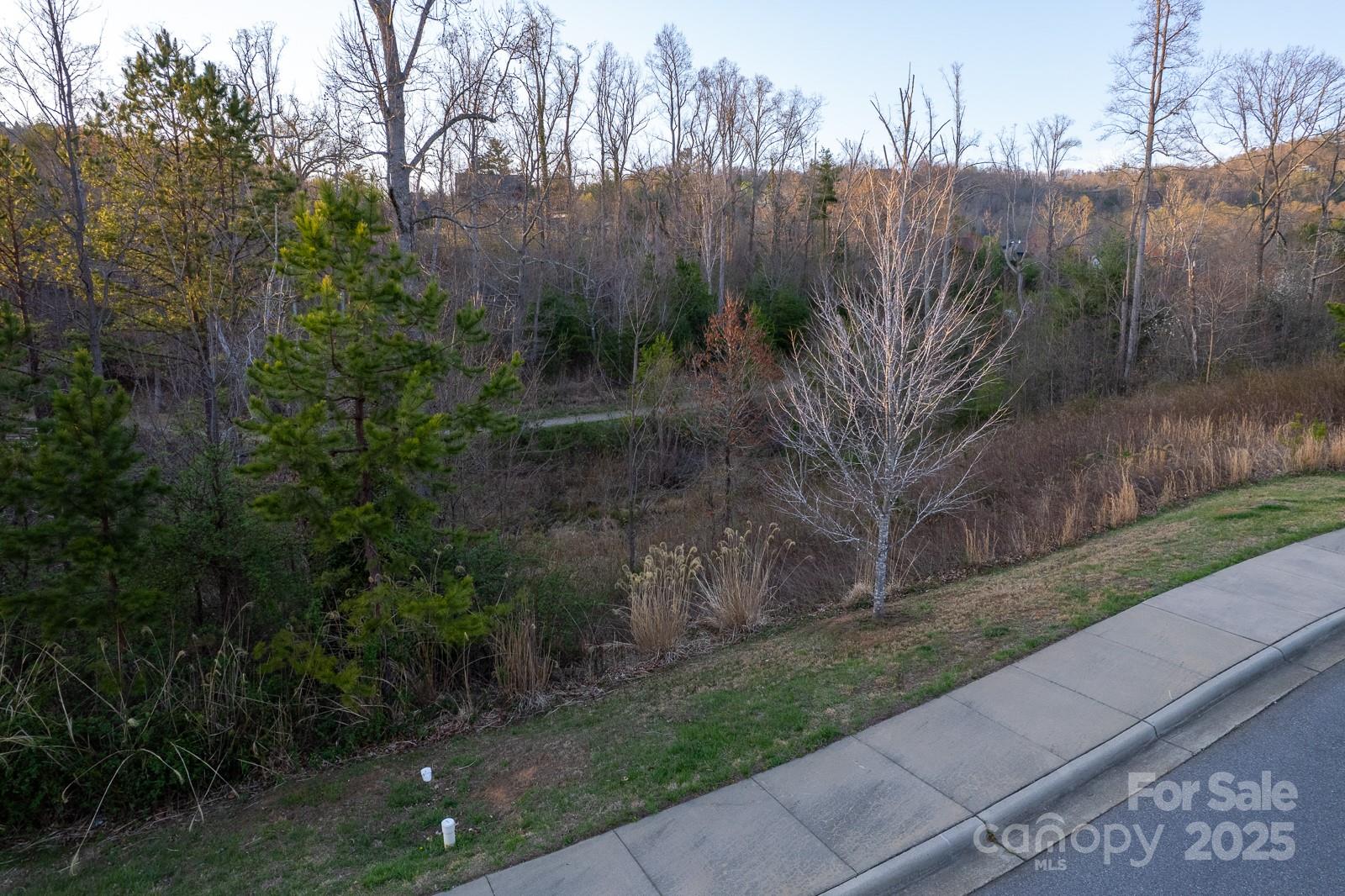 64 French Willow Drive Property Photo 39