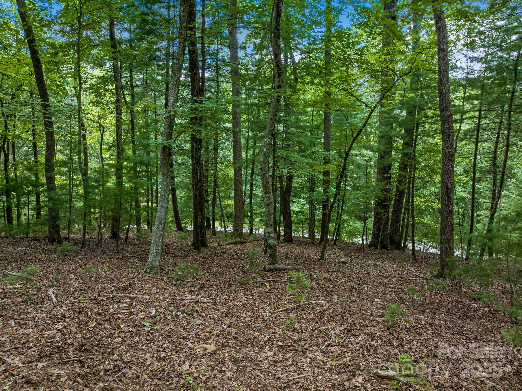 36 Dividing Ridge Trail 5 Property Photo 3