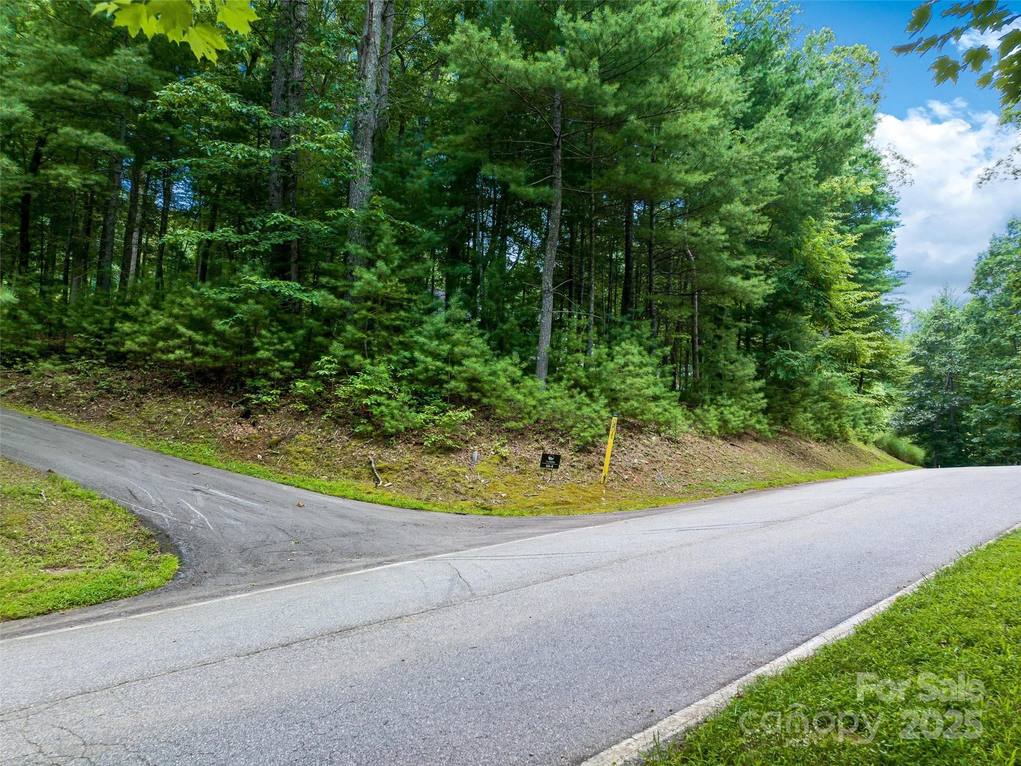 36 Dividing Ridge Trail 5 Property Photo 4